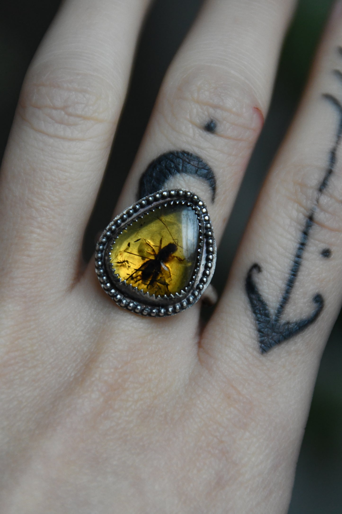 Real Insect in Amber Sterling Silver Ring Size 8US