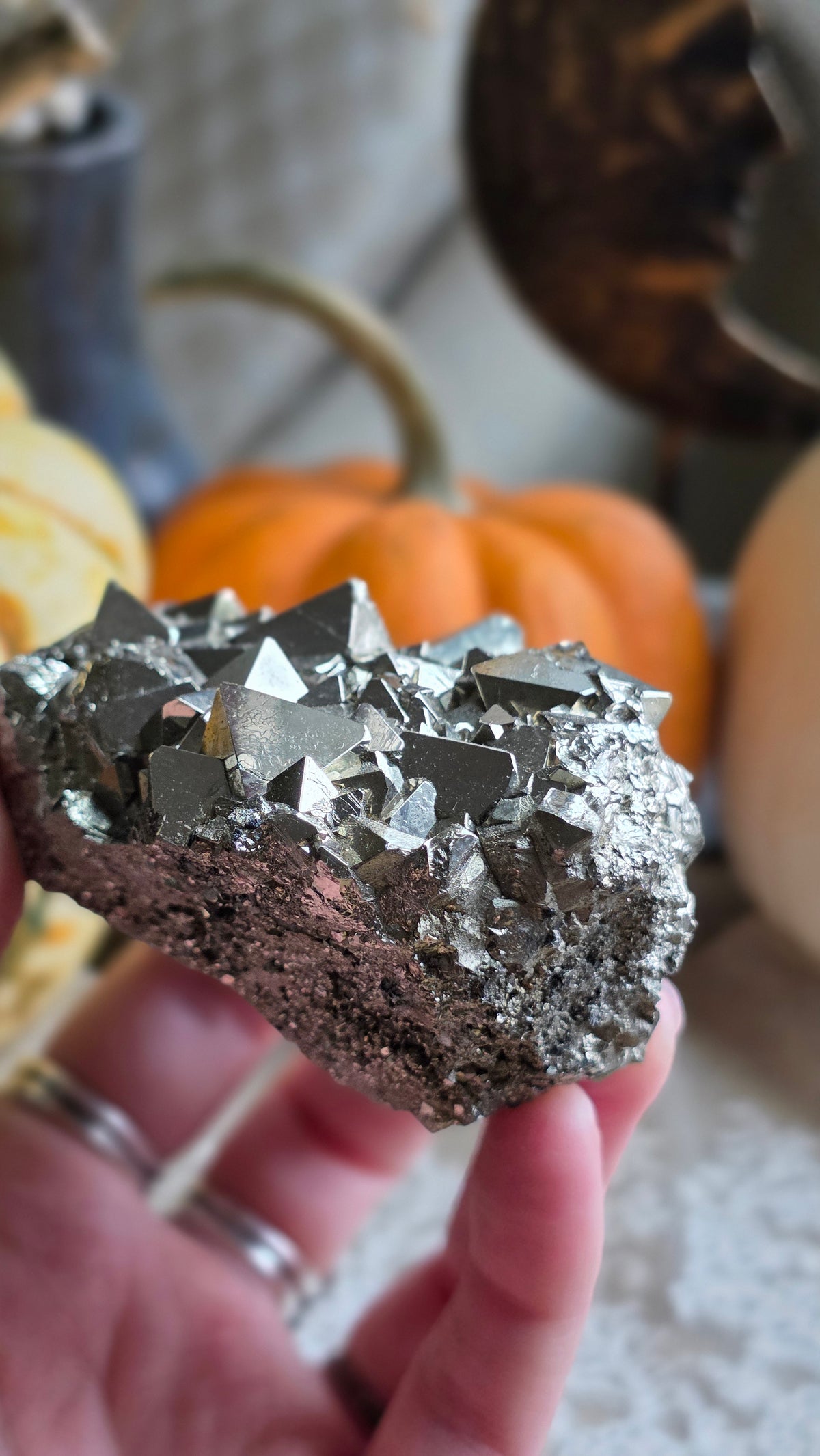 Pyrite Specimen 10