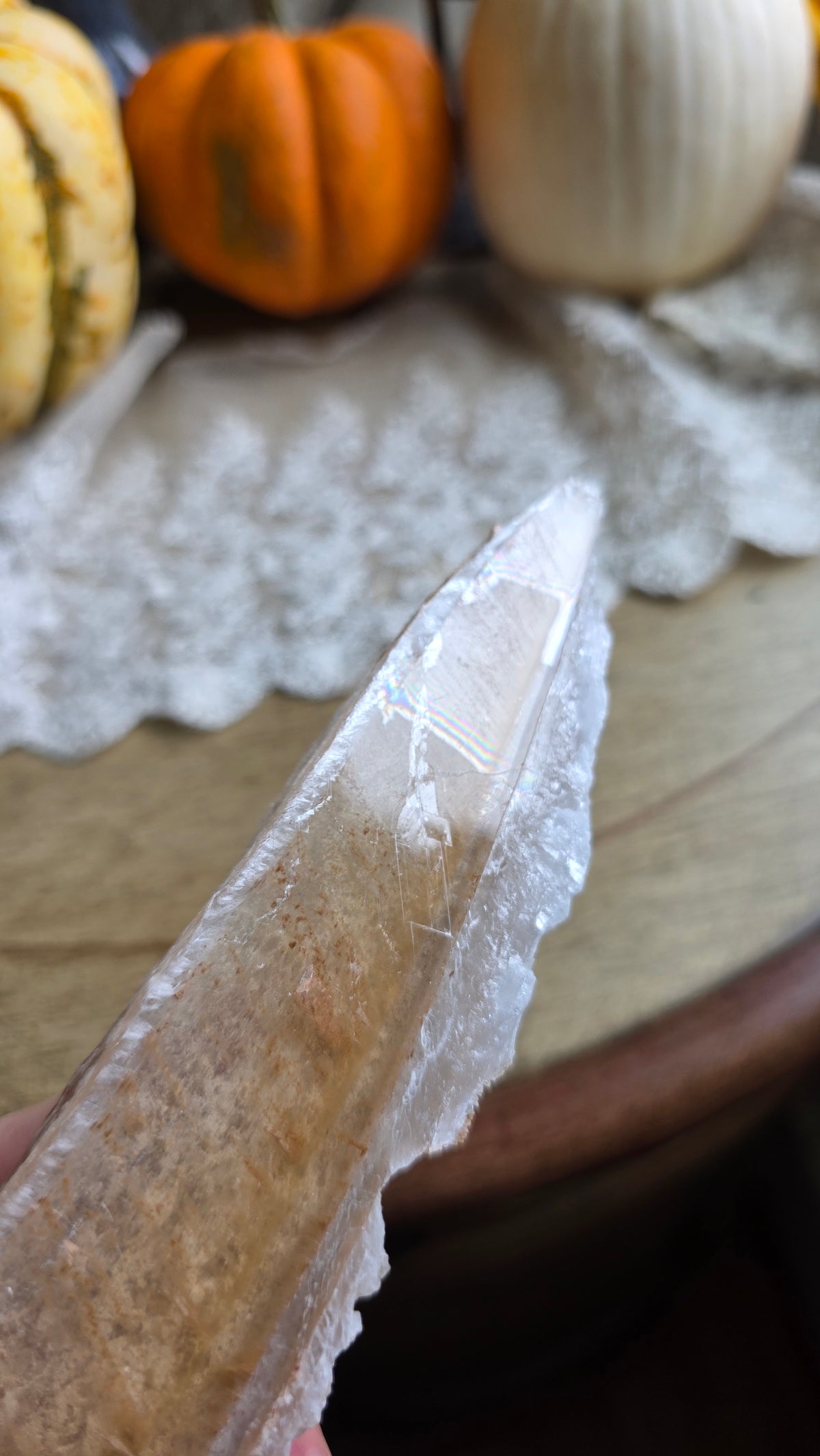 Bicolor Selenite on Stand