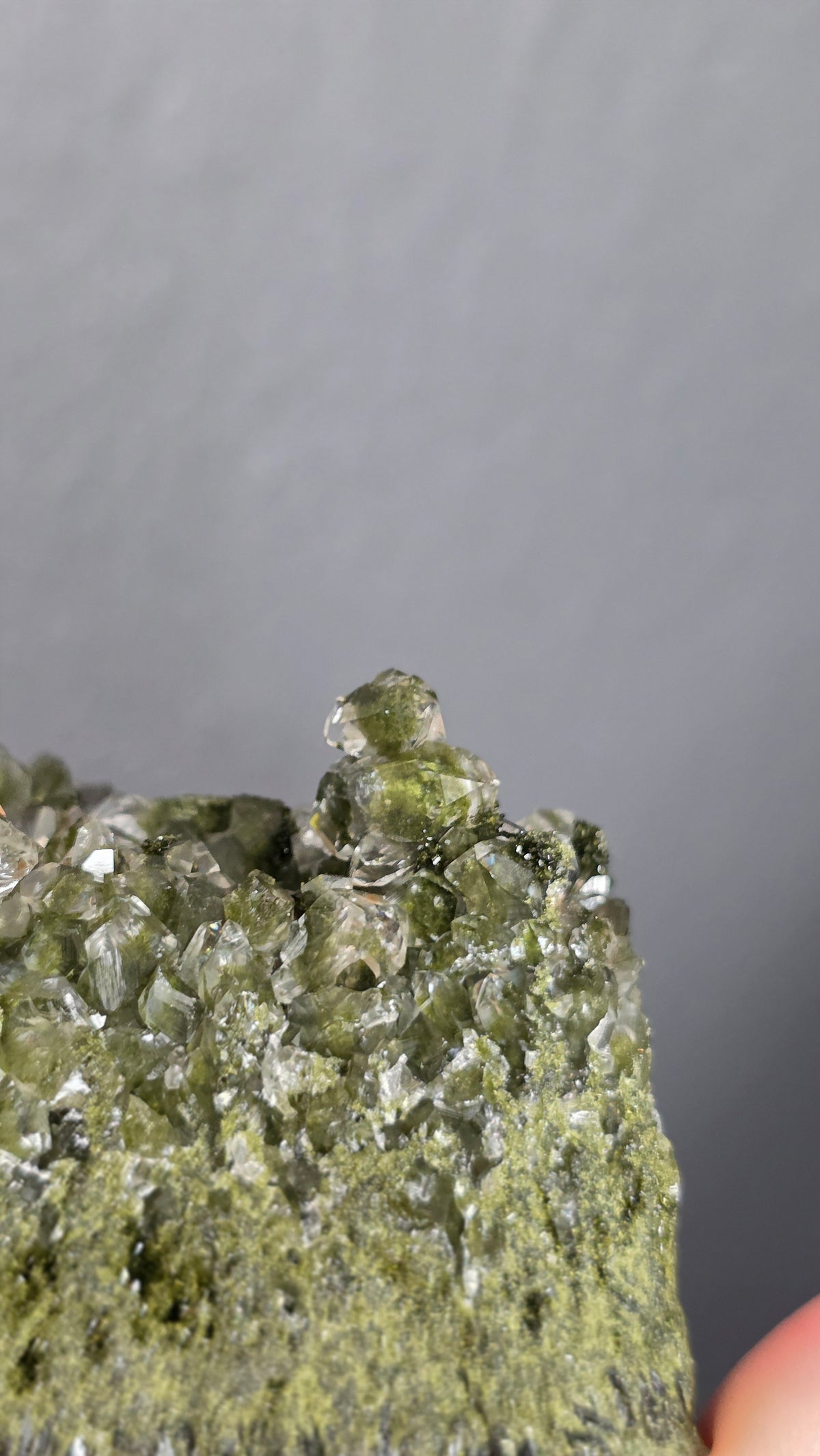 Epidote in Quartz
