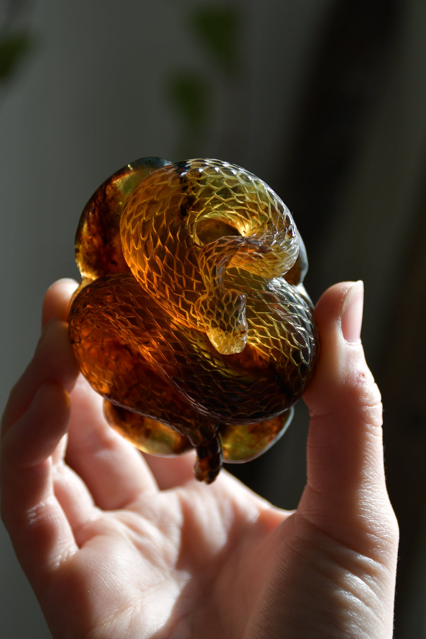 Carved Chiapas Amber Rattlesnake