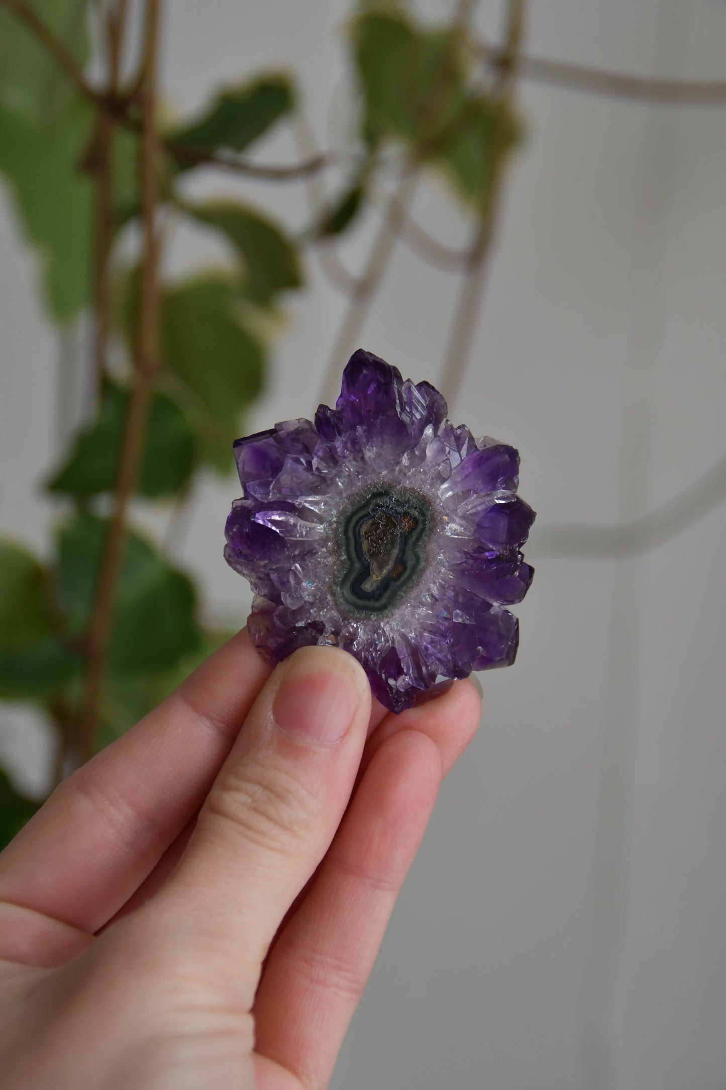 Amethyst Flower Slices