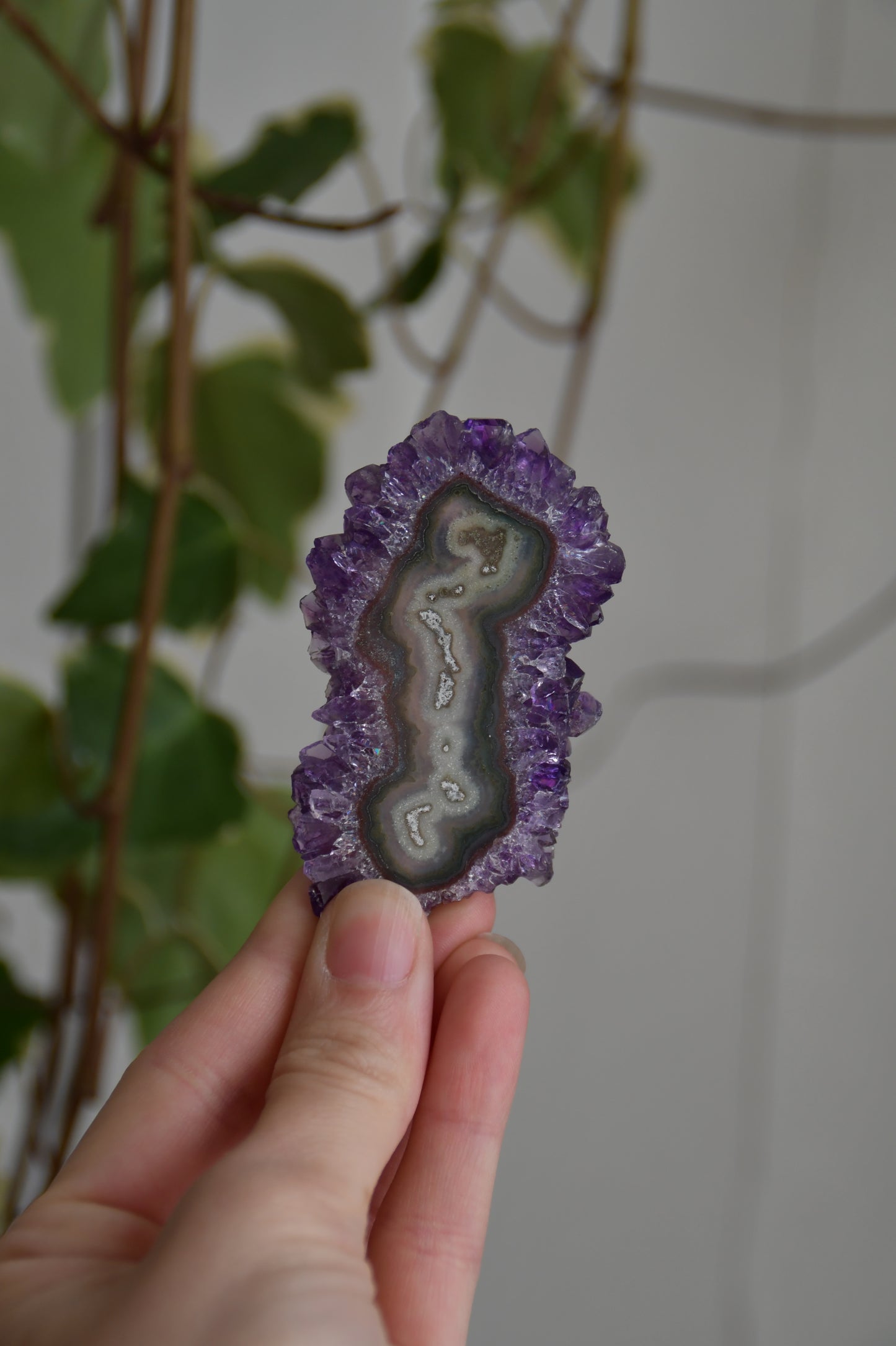 Amethyst Flower Slices