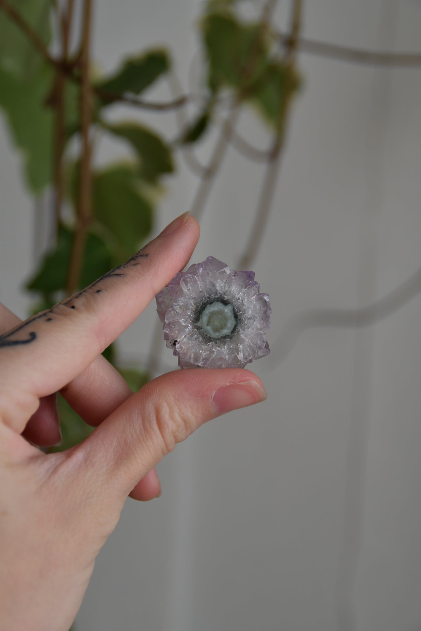 Amethyst Flower Slices