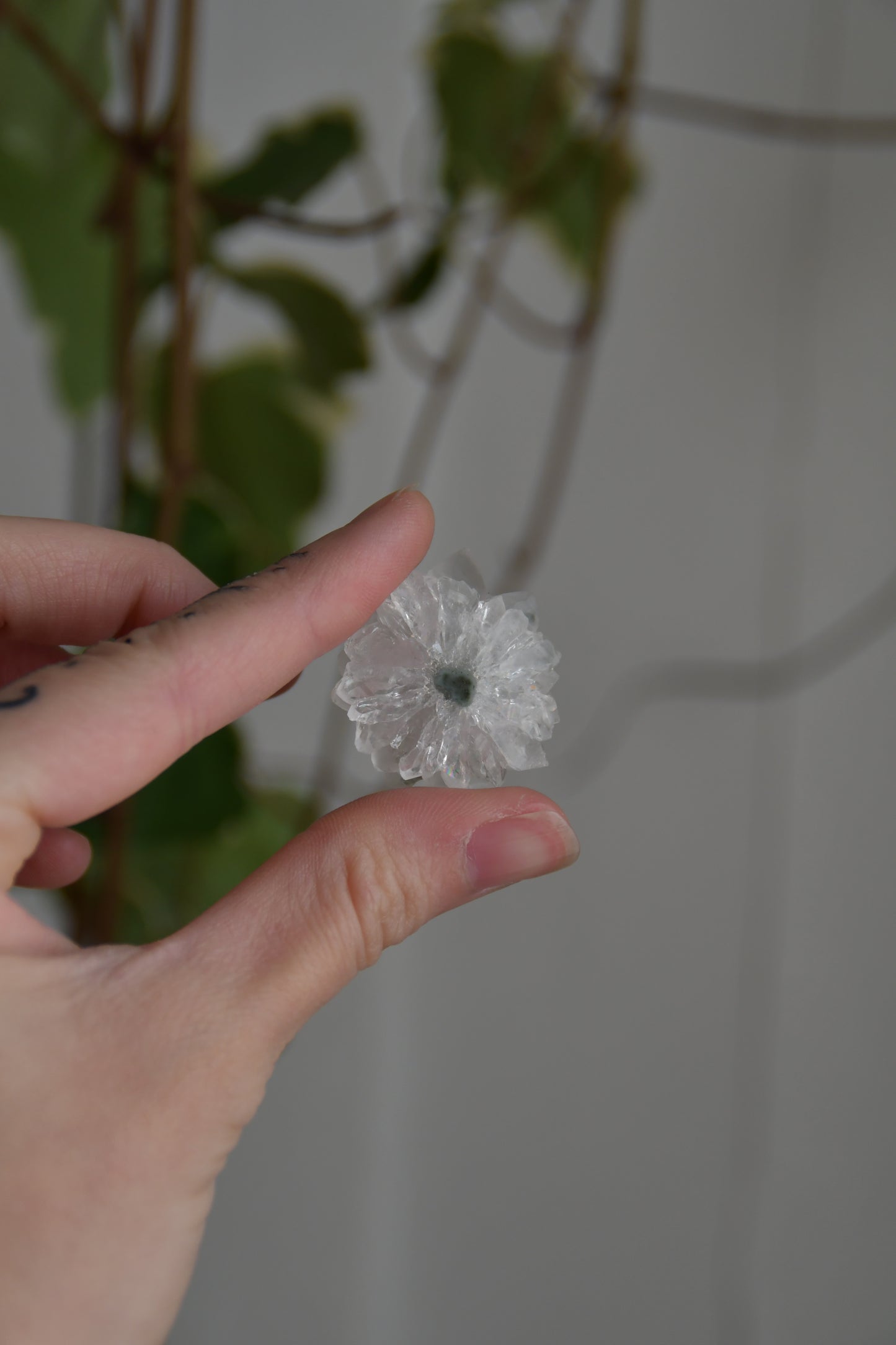 Amethyst Flower Slices