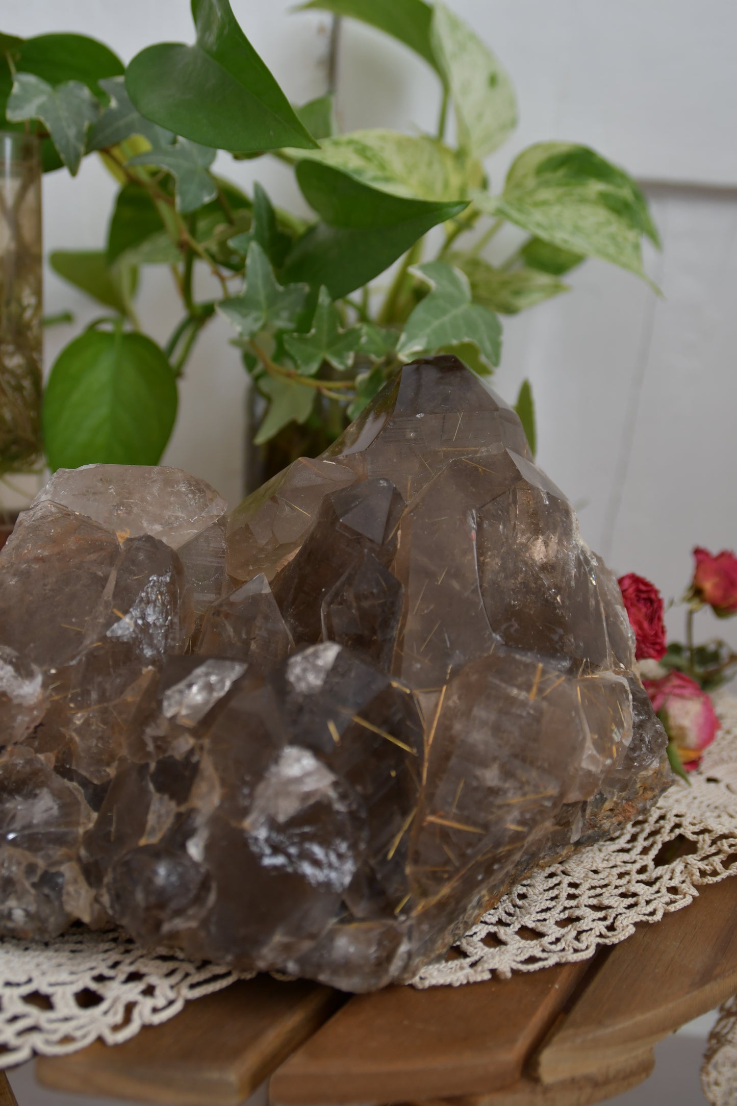 Large Statement Smokey Rutilated Quartz Cluster