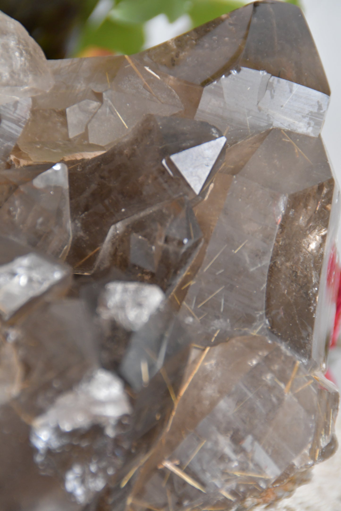 Large Statement Smokey Rutilated Quartz Cluster