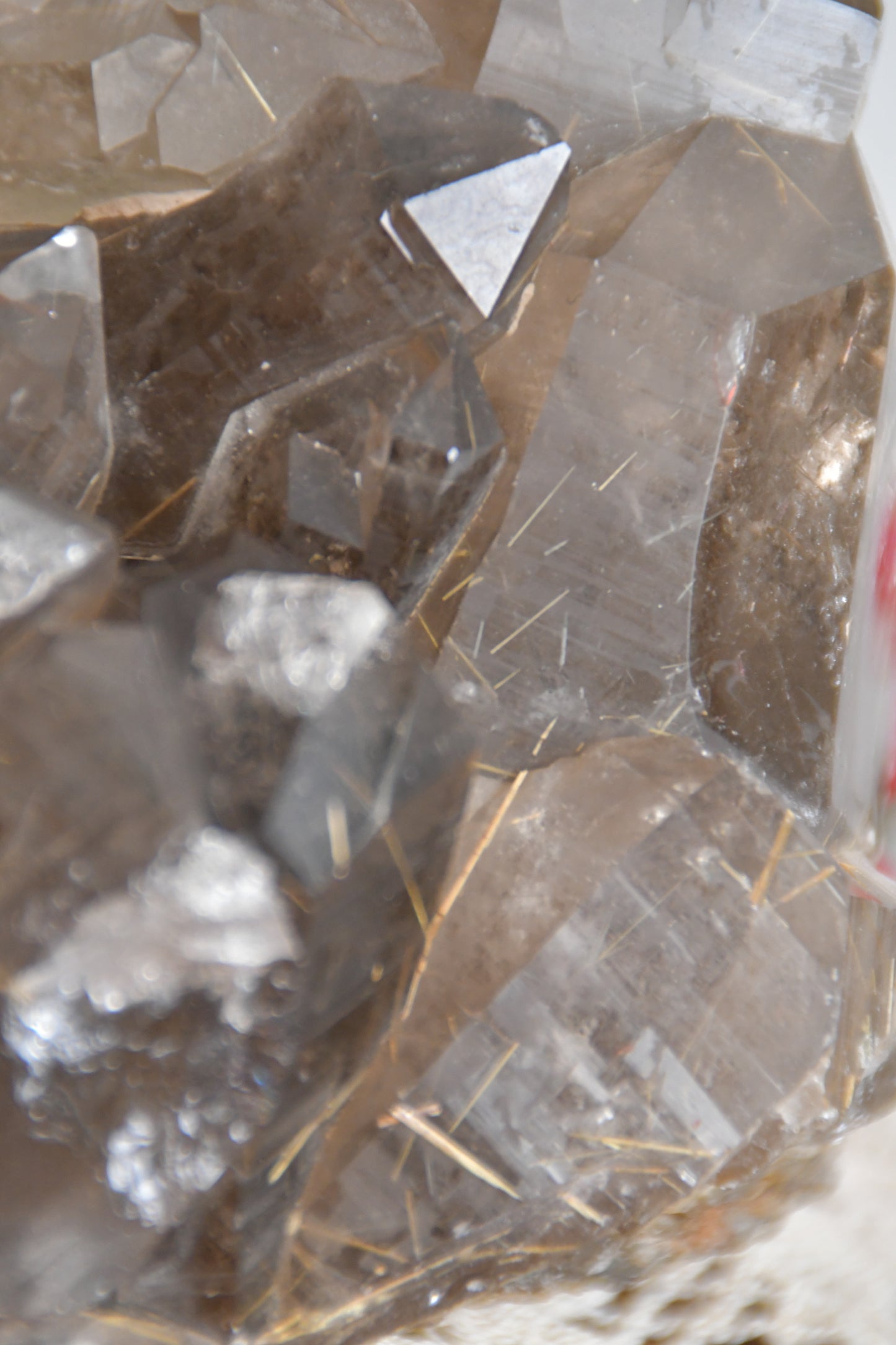 Large Statement Smokey Rutilated Quartz Cluster