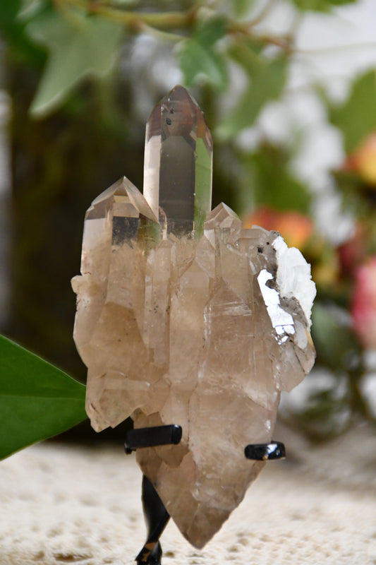 Natural Brazilian Citrine Cluster with stand