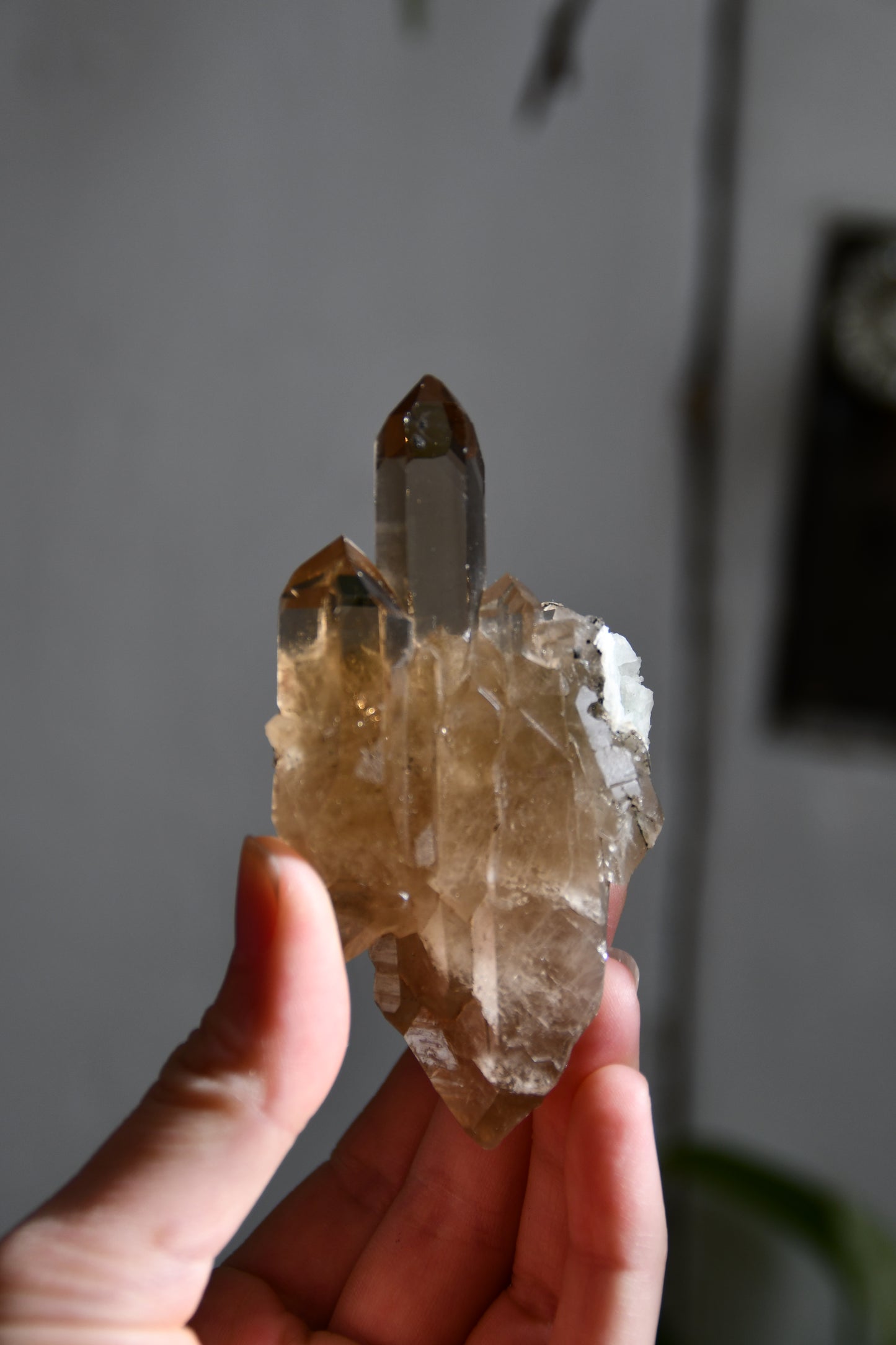 Natural Brazilian Citrine Cluster with stand