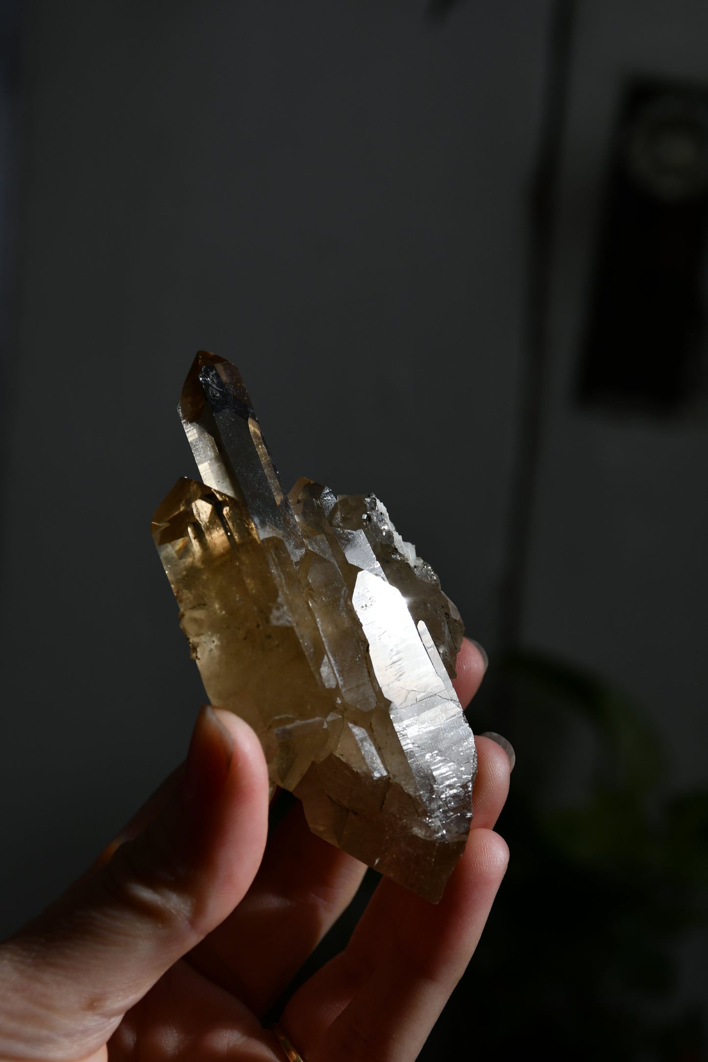 Natural Brazilian Citrine Cluster with stand