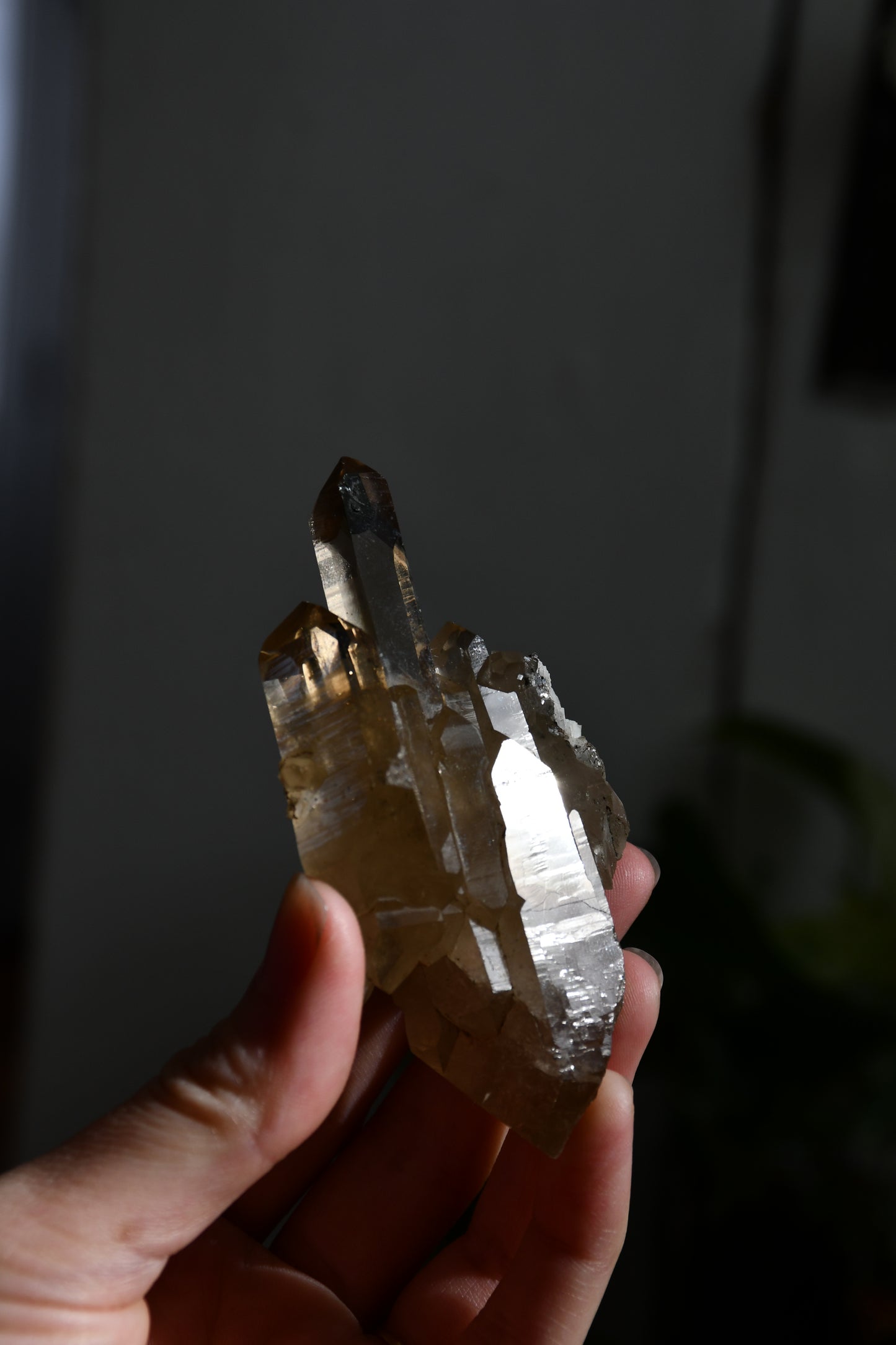 Natural Brazilian Citrine Cluster with stand