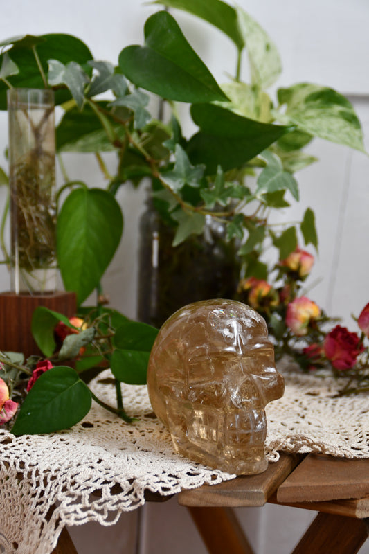 Natural Citrine Carved Skull