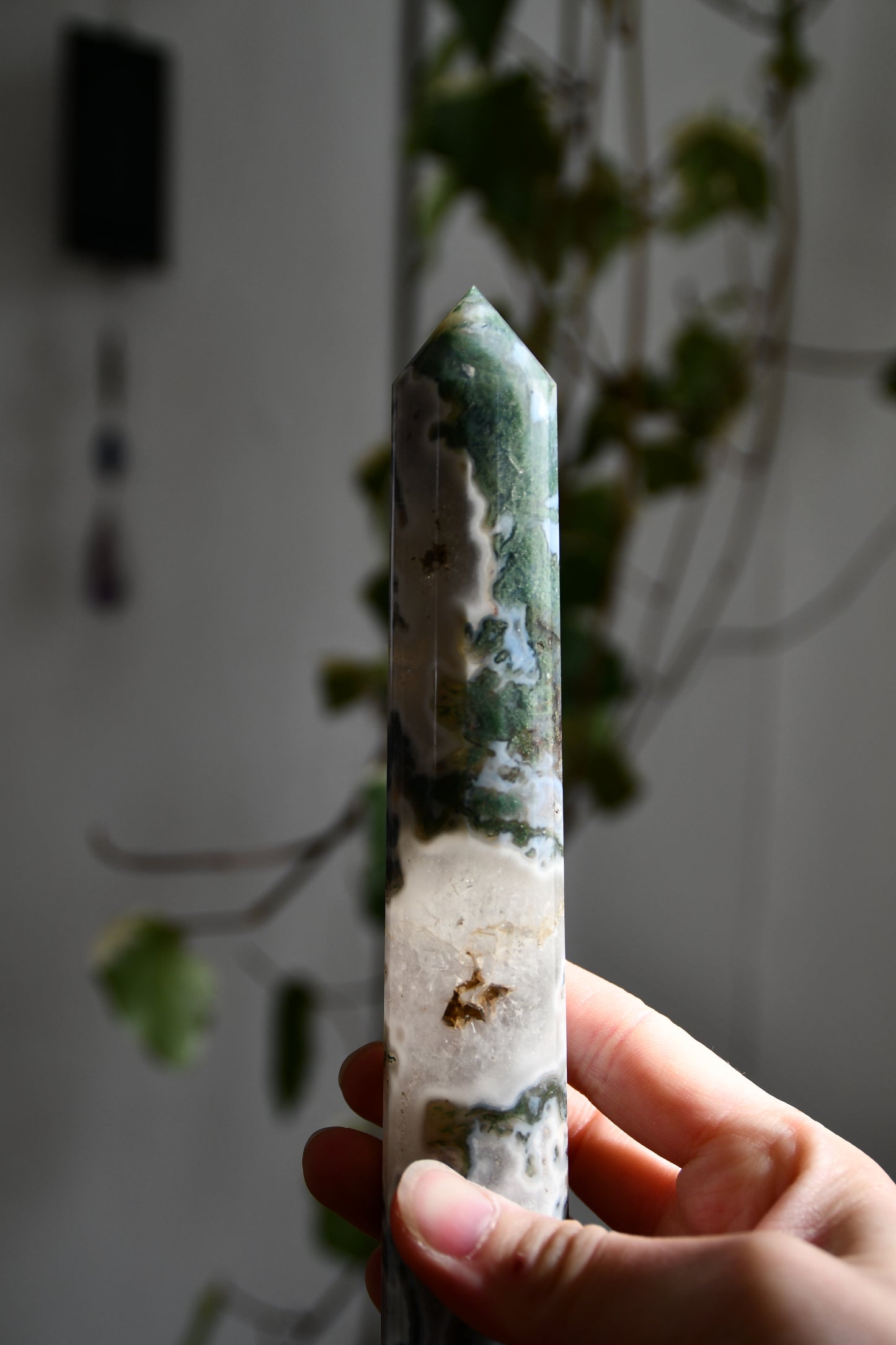 Polished Moss Agate Vogel