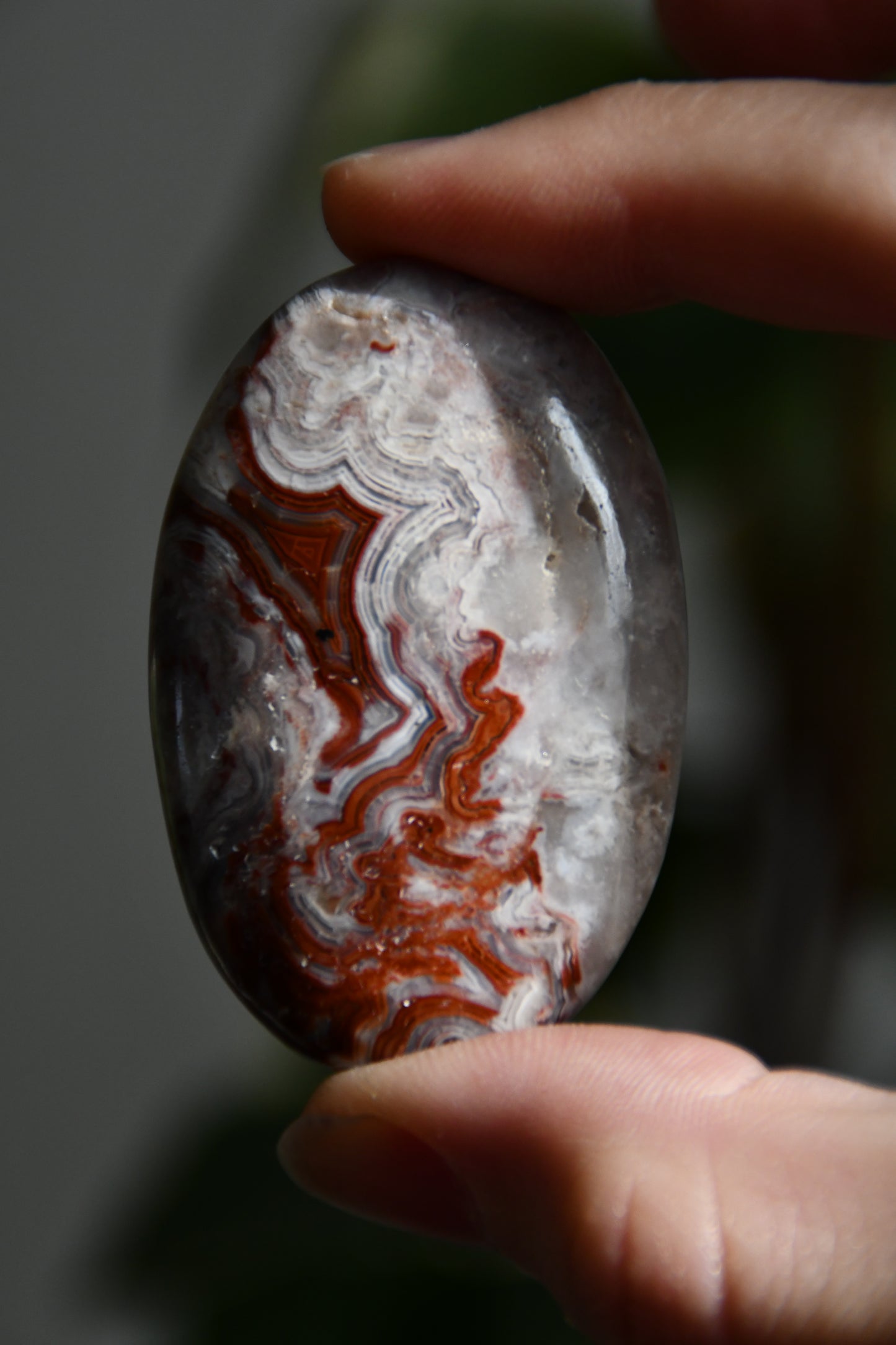 Crazy Lace Agate Palmstone