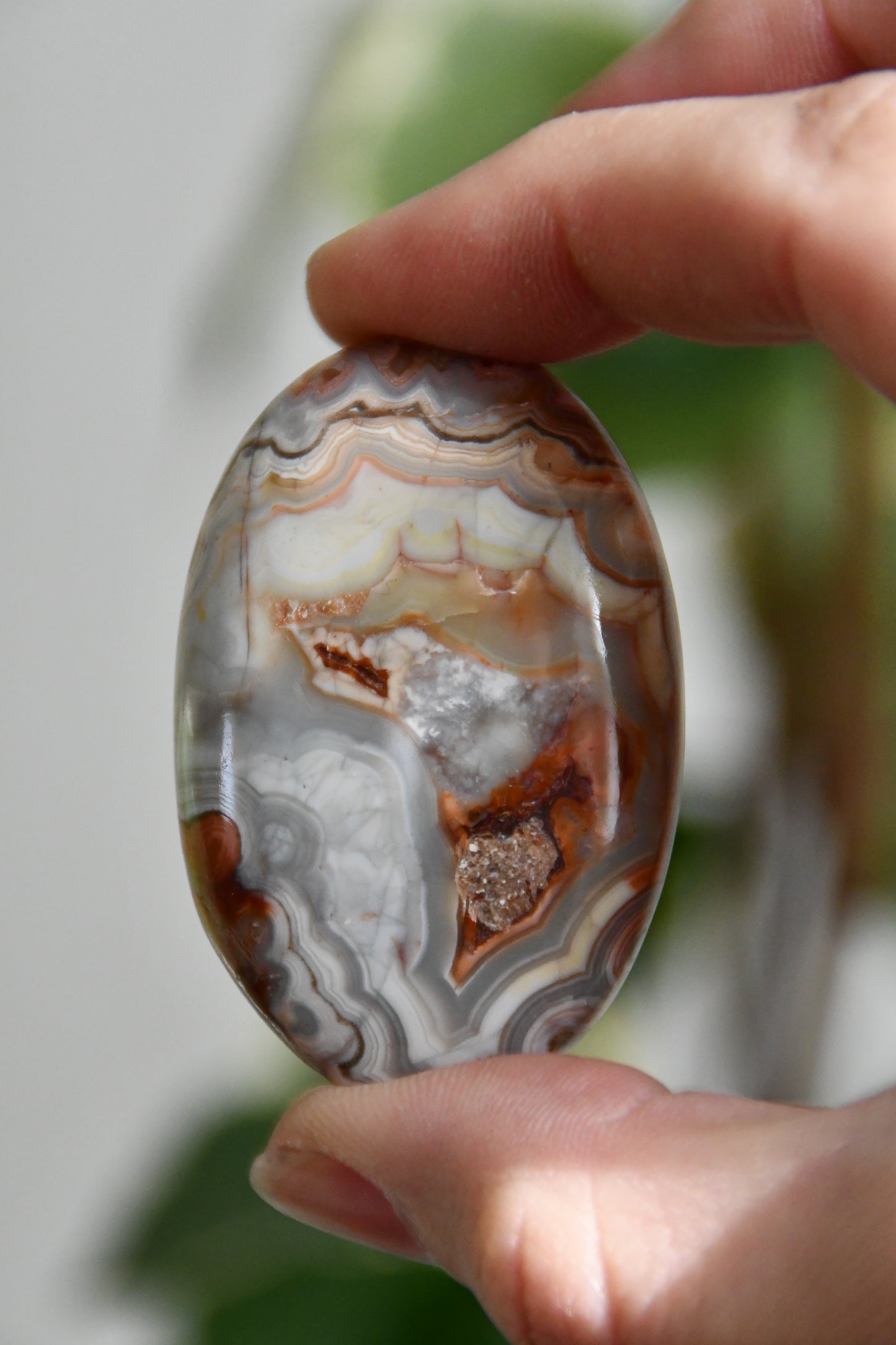 Crazy Lace Agate Palmstone