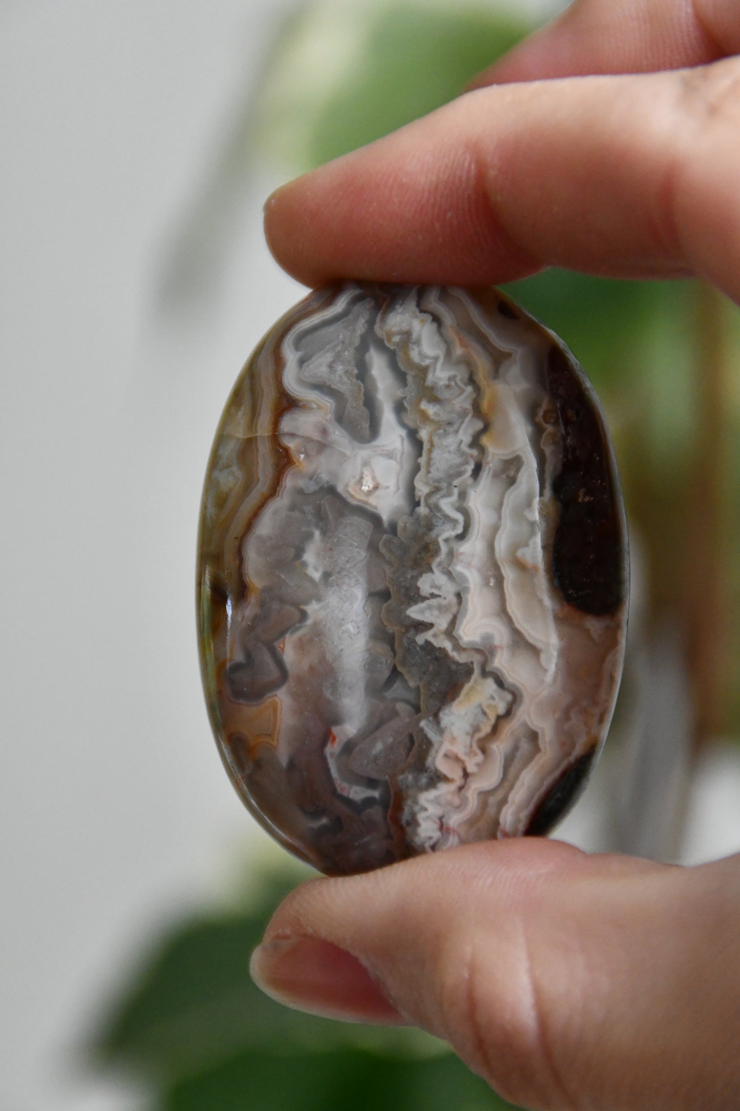 Crazy Lace Agate Palmstone