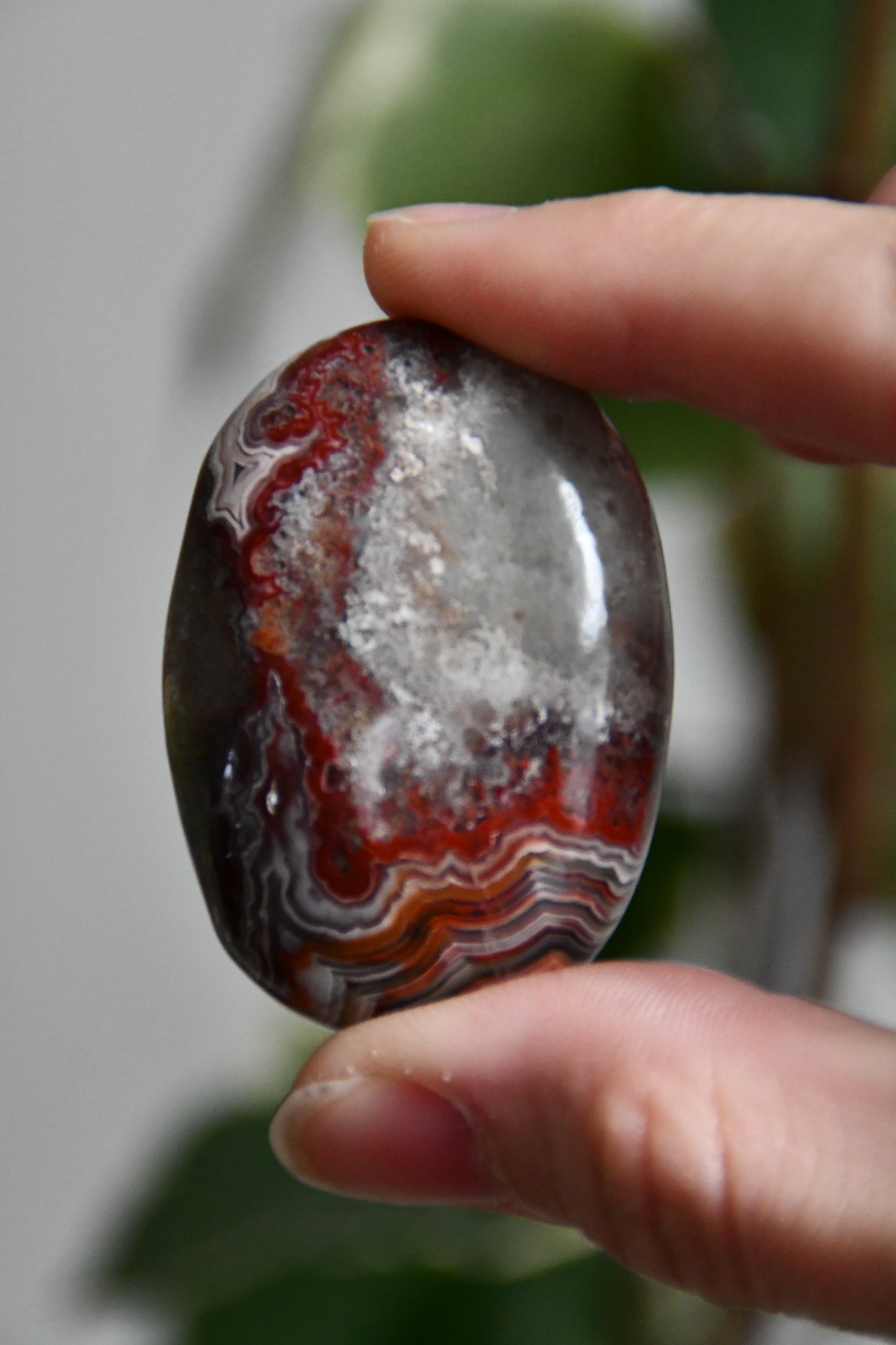 Crazy Lace Agate Palmstone