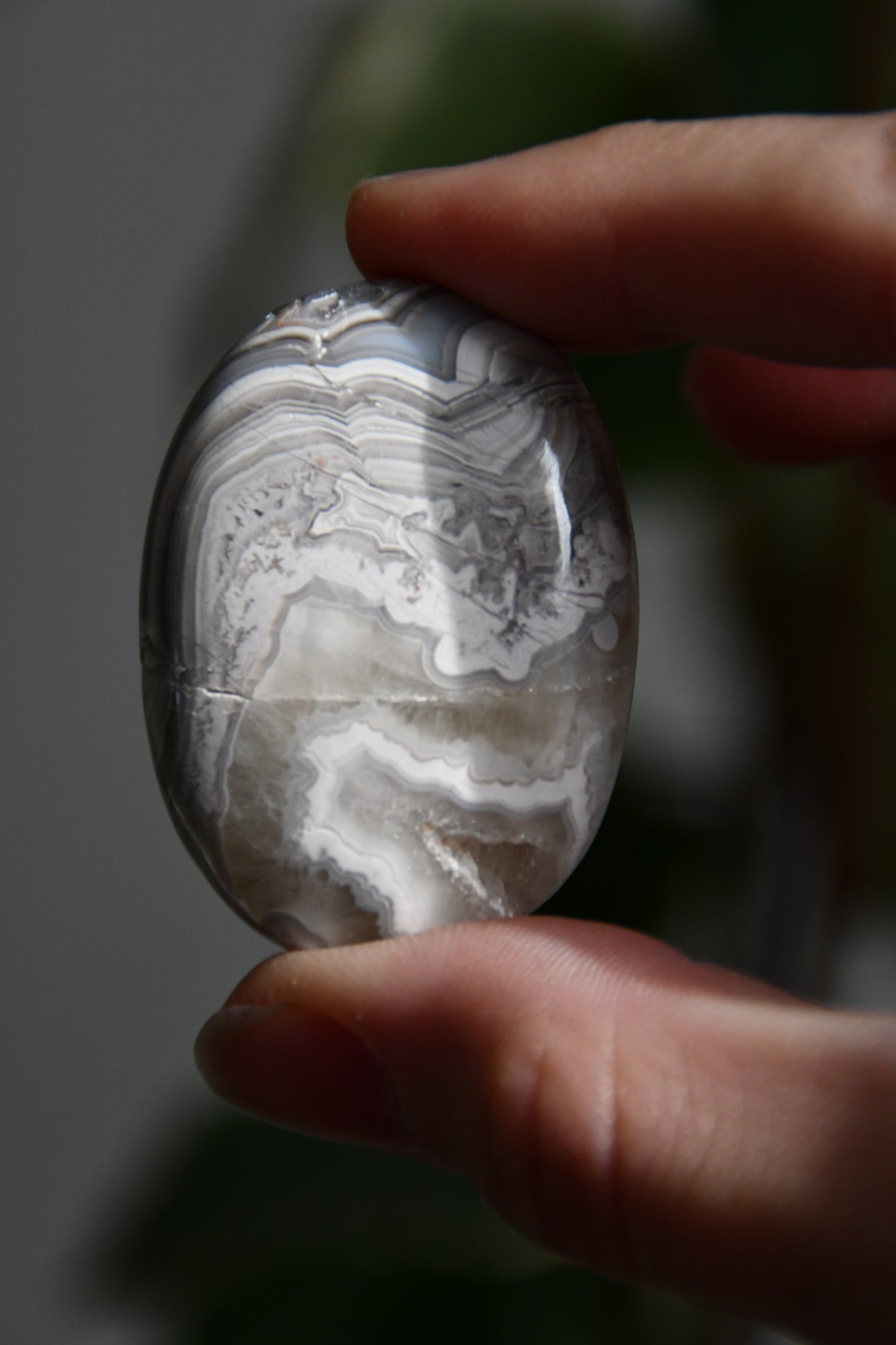 Crazy Lace Agate Palmstone