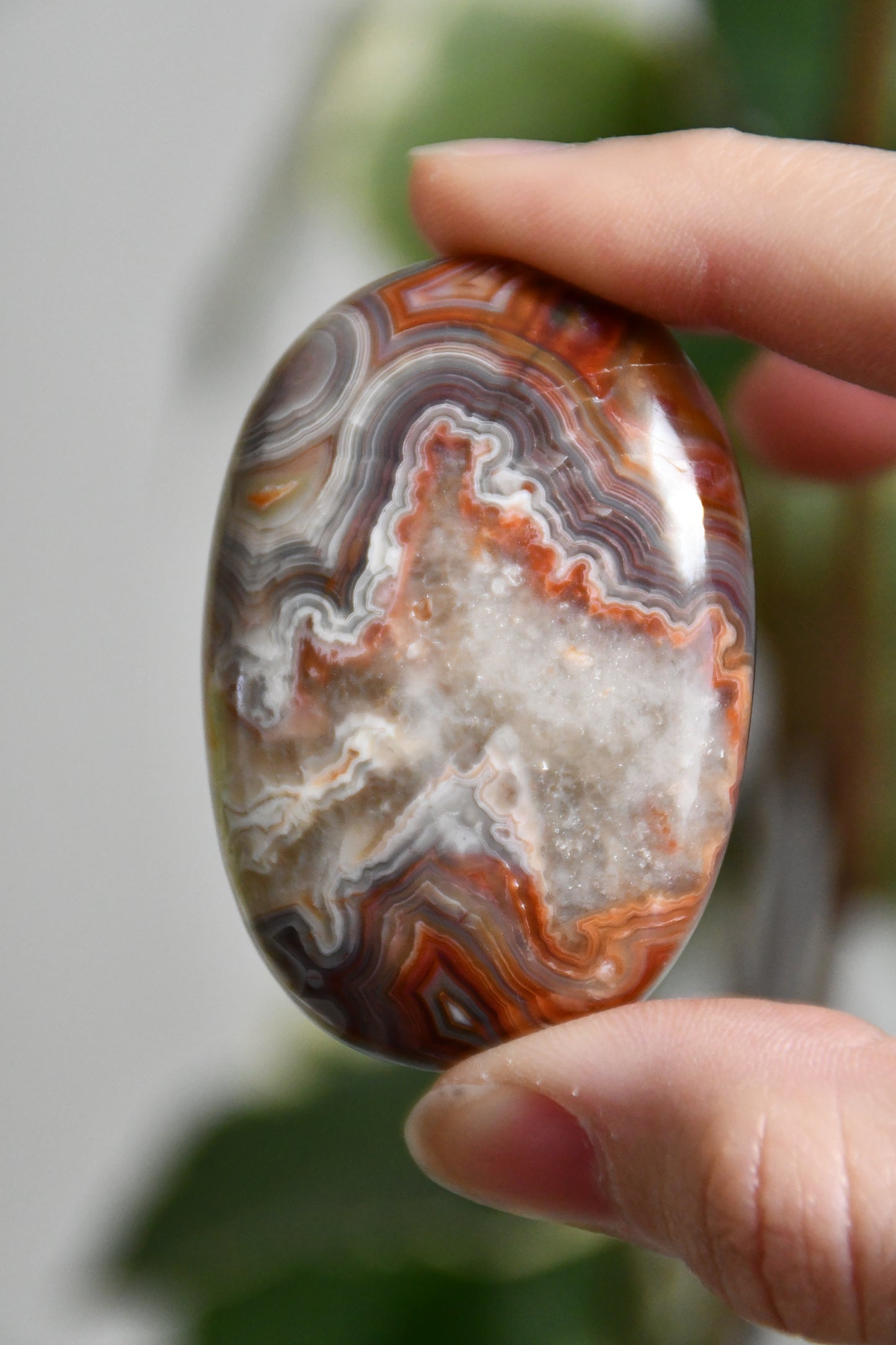 Crazy Lace Agate Palmstone