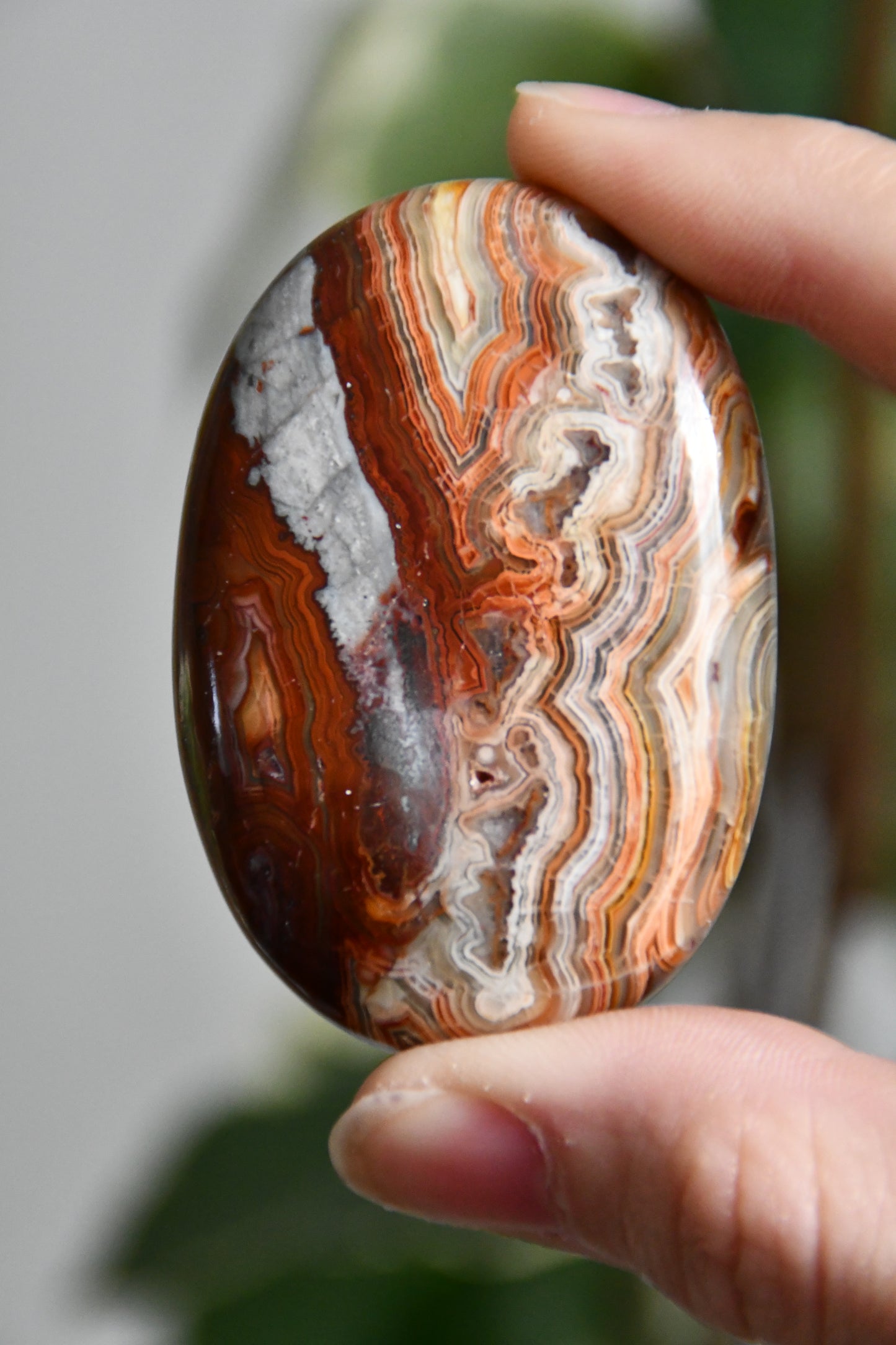 Crazy Lace Agate Palmstone