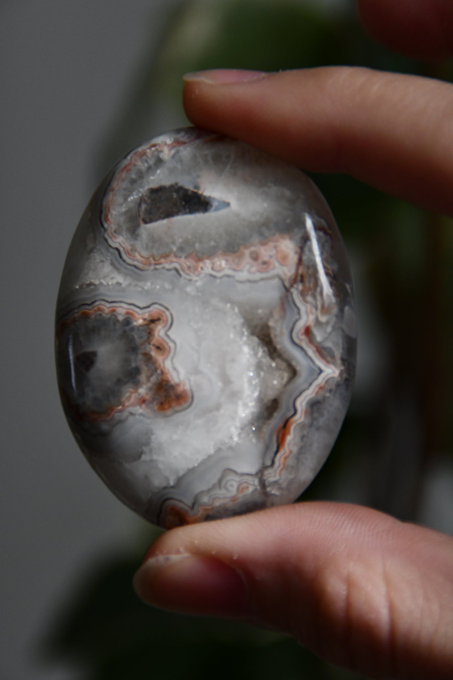 Crazy Lace Agate Palmstone