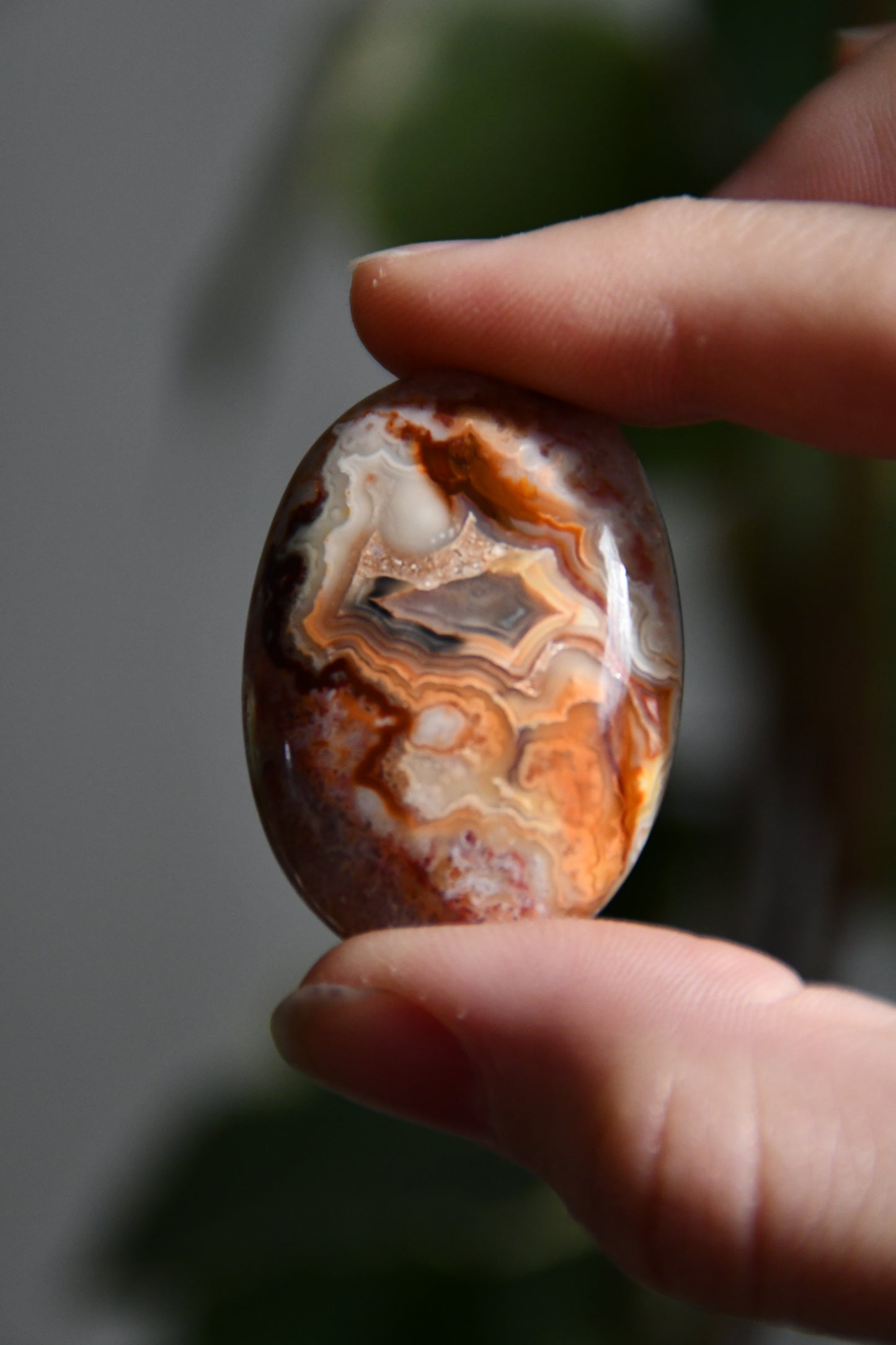 Crazy Lace Agate Palmstone