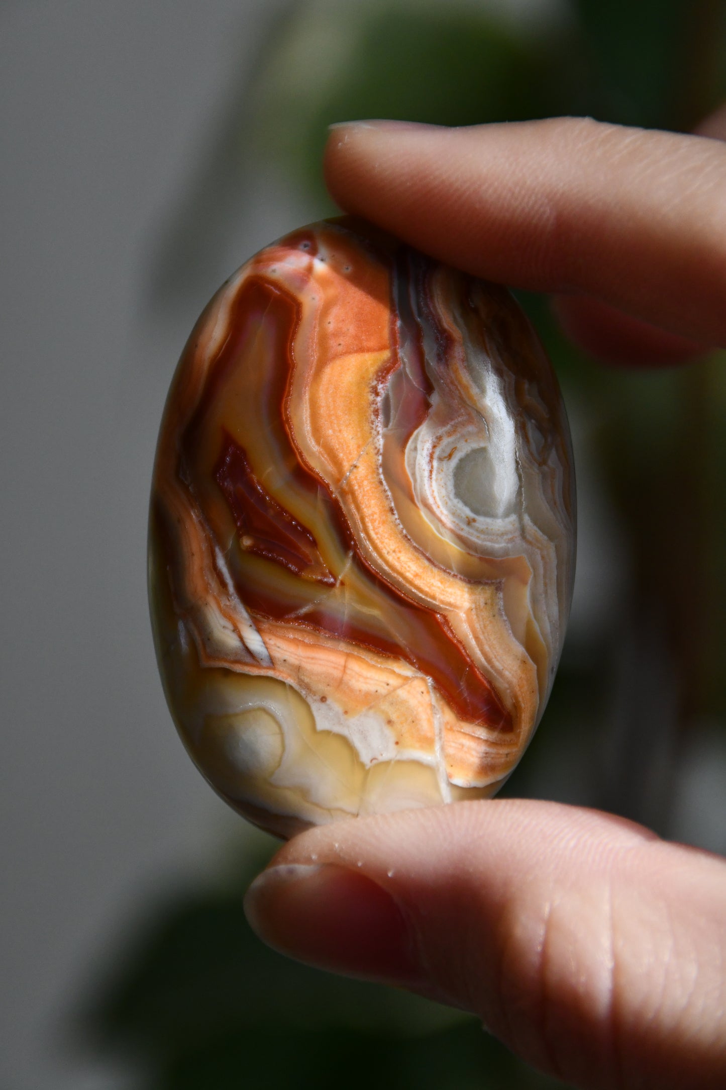 Crazy Lace Agate Palmstone