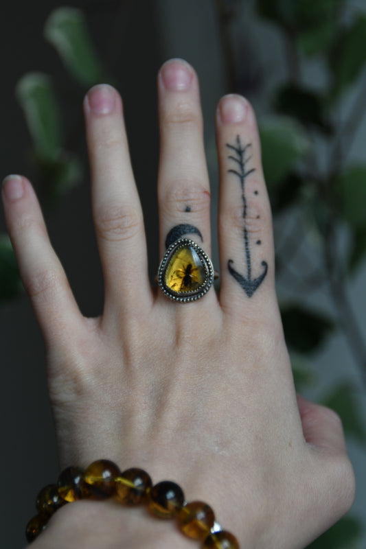 Real Insect in Amber Sterling Silver Ring Size 8US