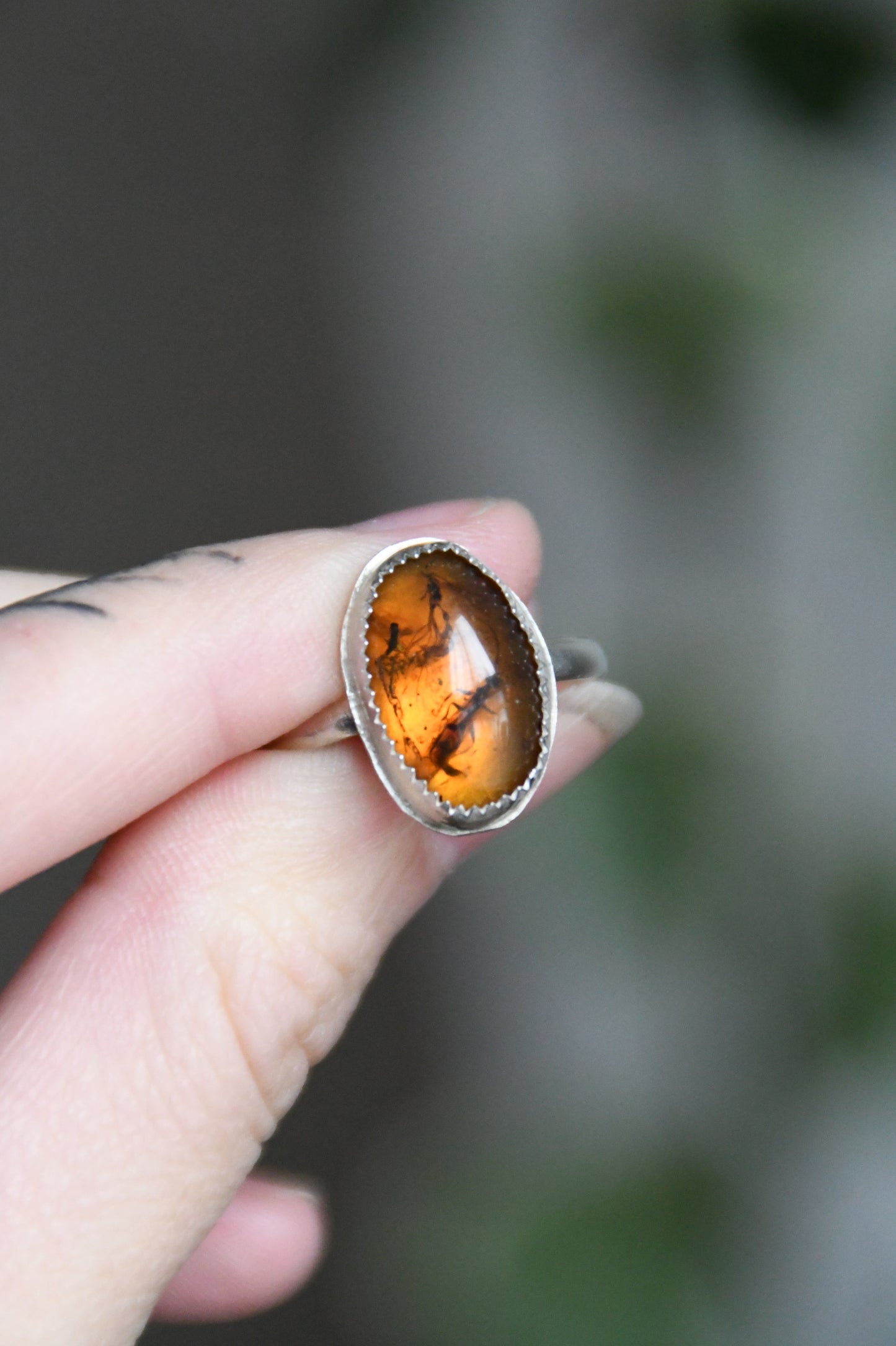 Real Insect in Amber Sterling Silver Ring Size 9