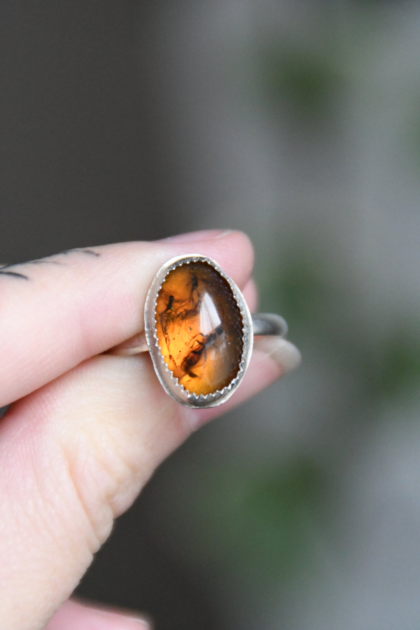 Real Insect in Amber Sterling Silver Ring Size 9