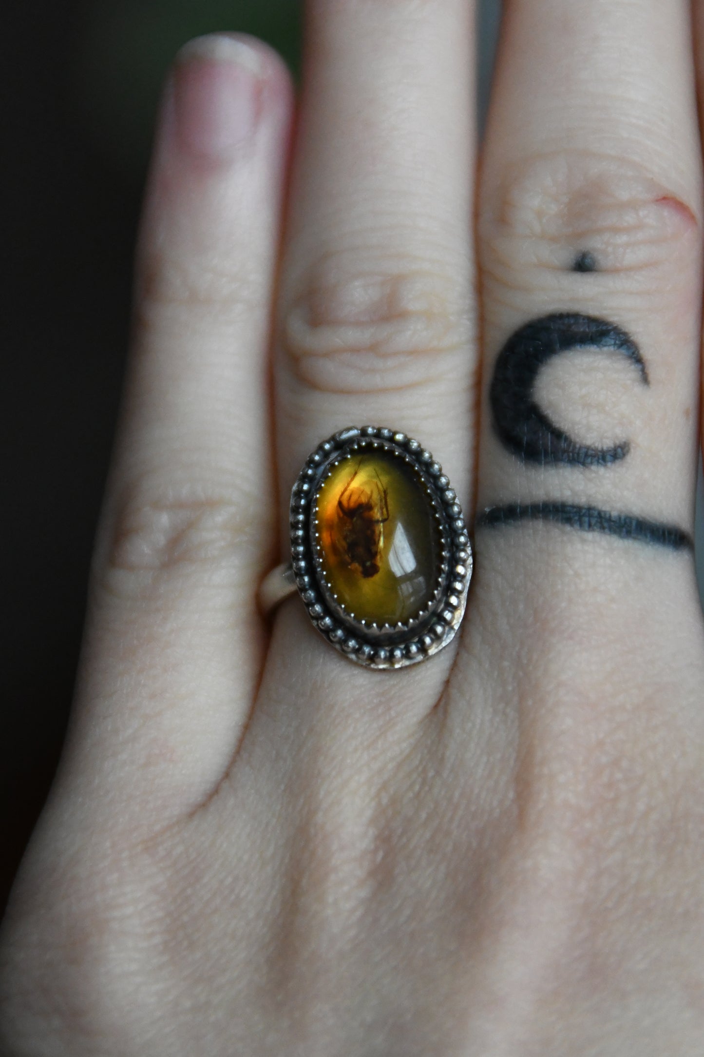 Real Insect in Amber Sterling Silver Ring Size 5 US