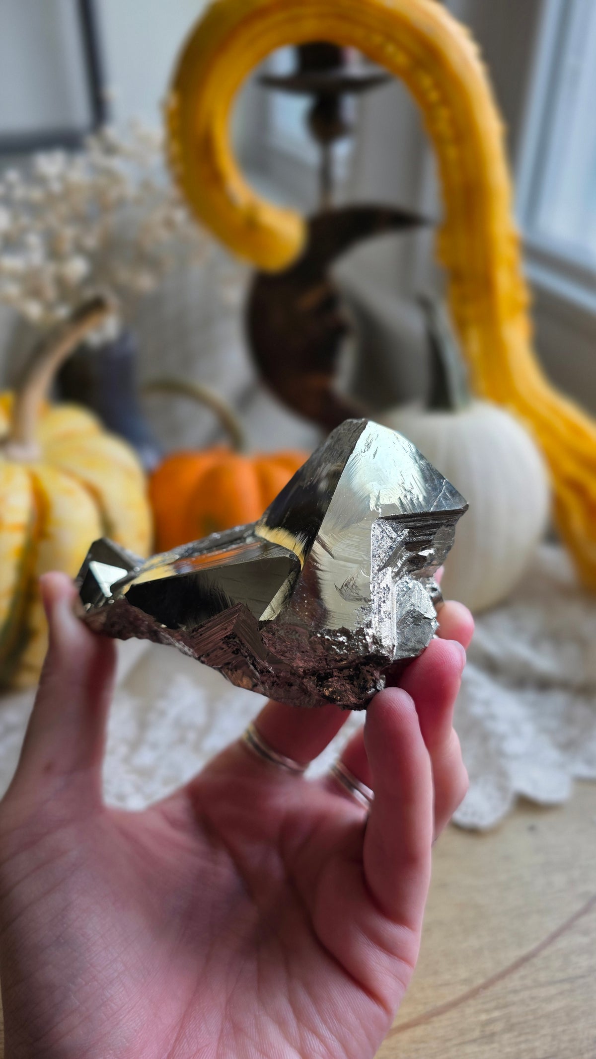 Pyrite Specimen 8