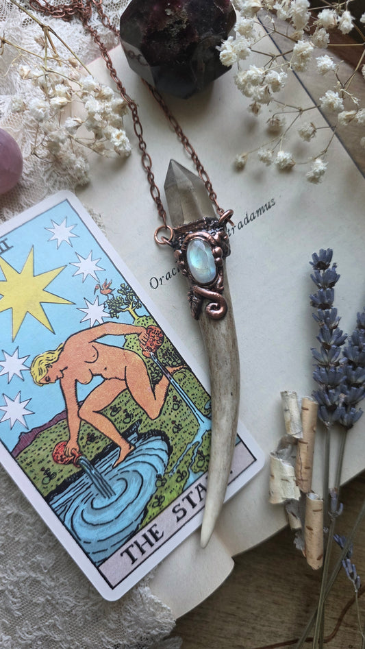 Valor: Natural Antler Shed Tip with Moonstone and Rutilated Quartz