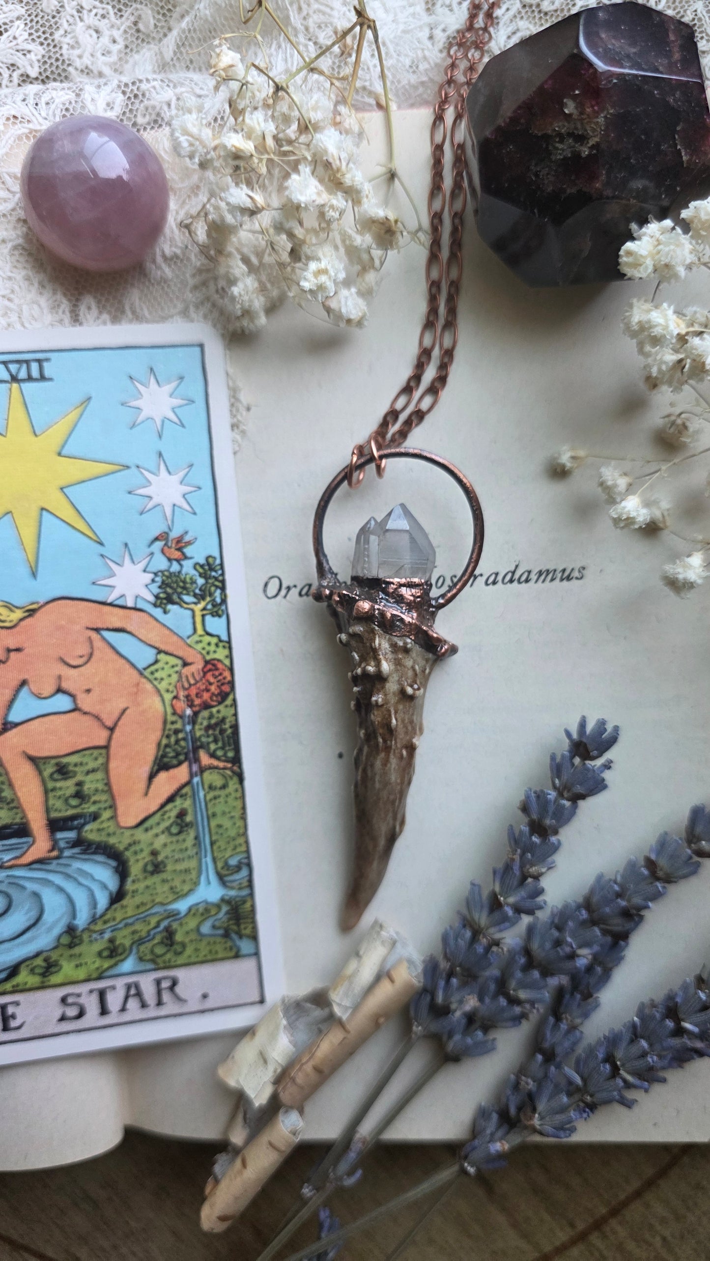 Fable: Antler Shed with Quartz