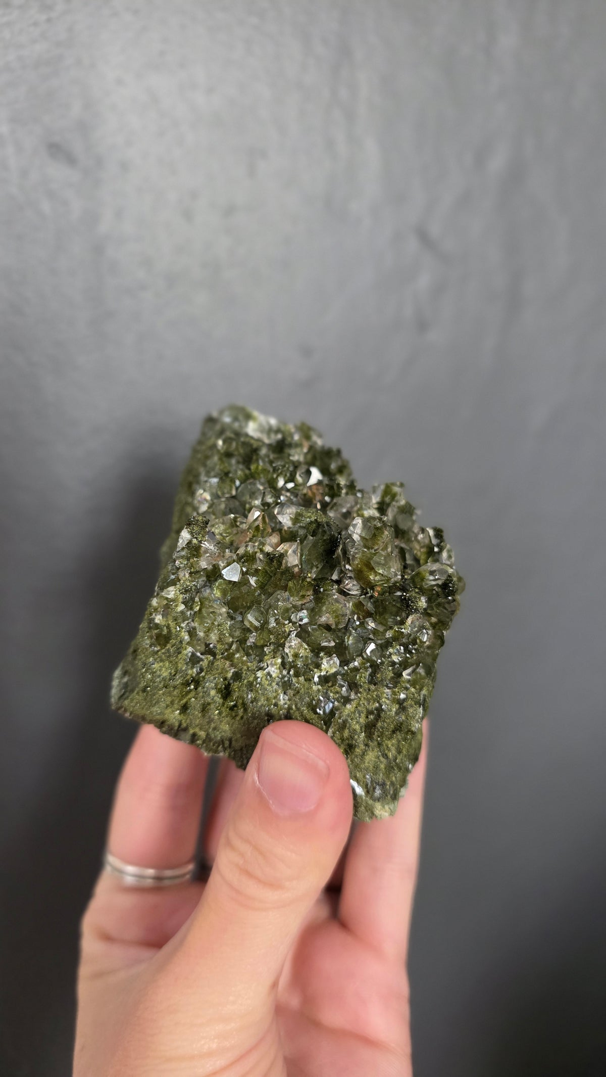 Epidote in Quartz