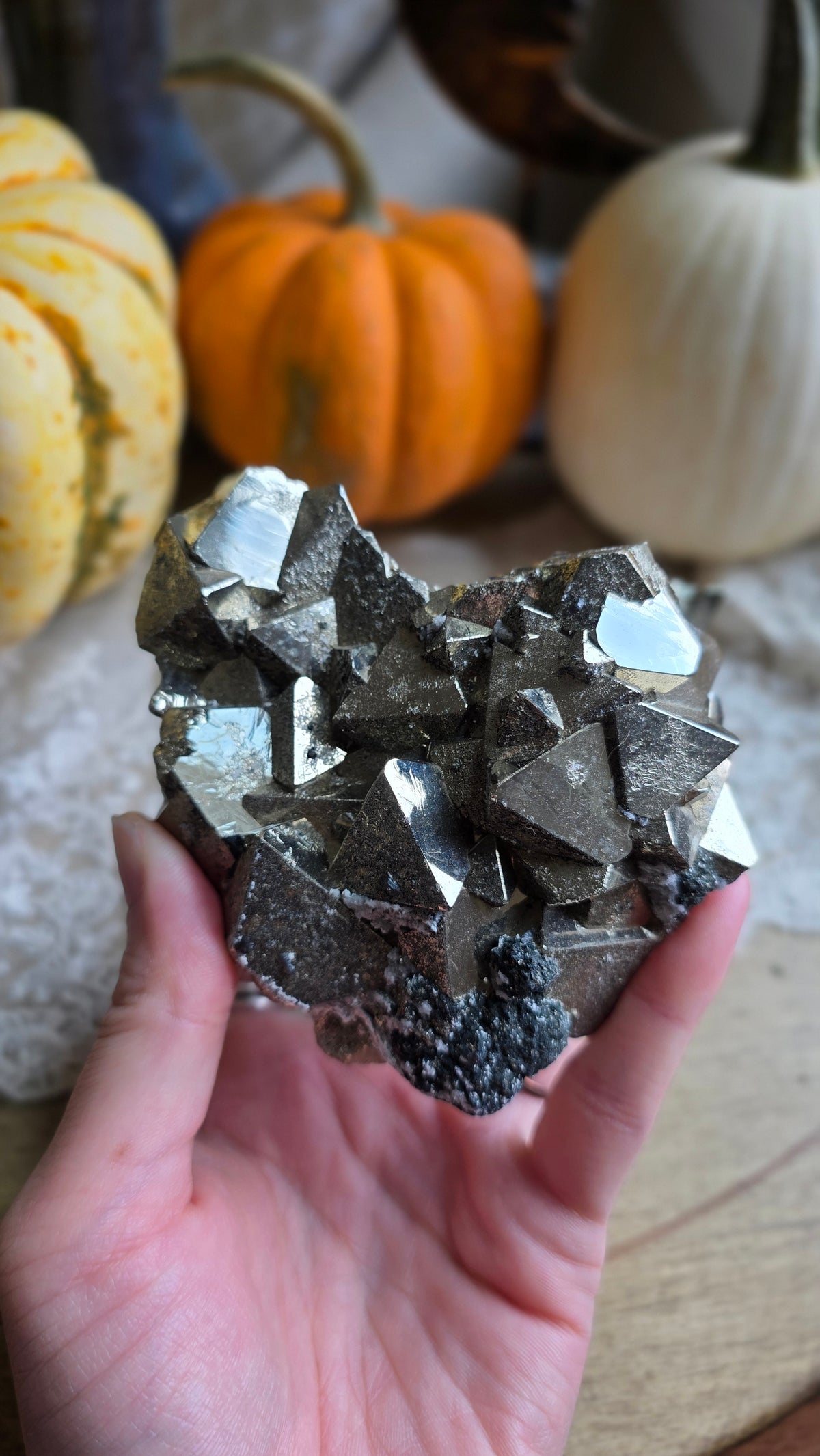 Pyrite Specimen 3