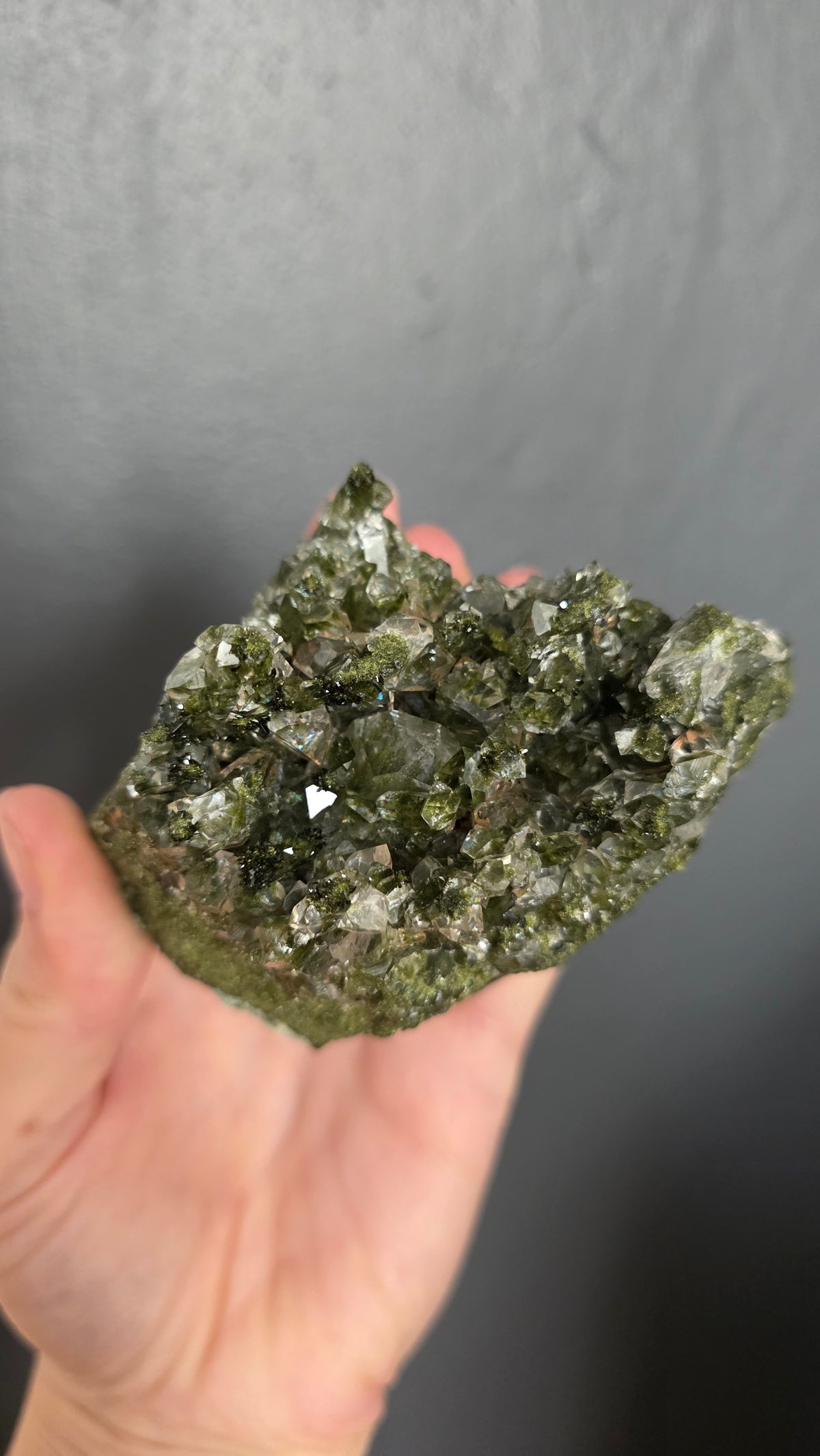 Epidote in Quartz