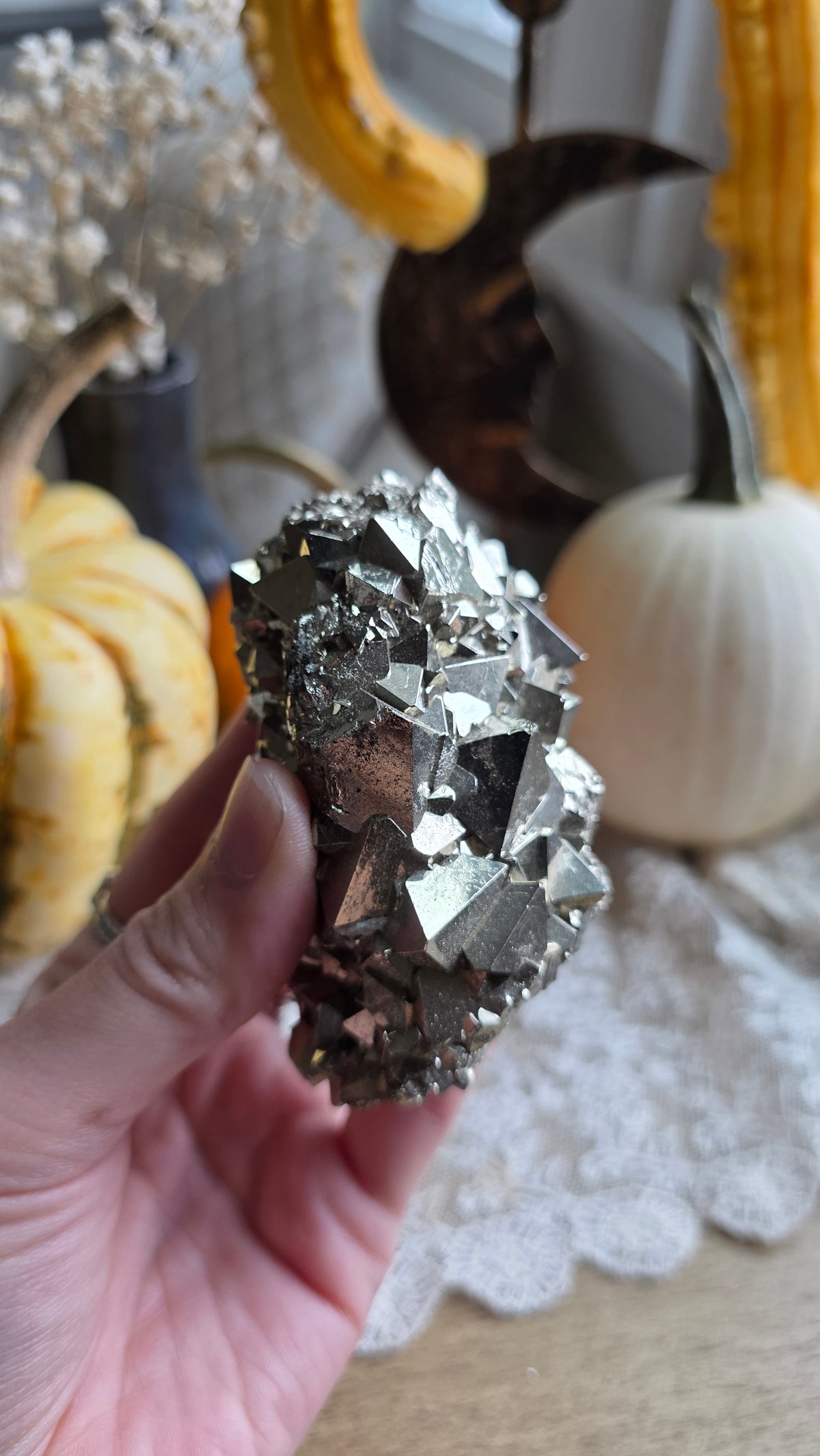 Pyrite Specimen 10