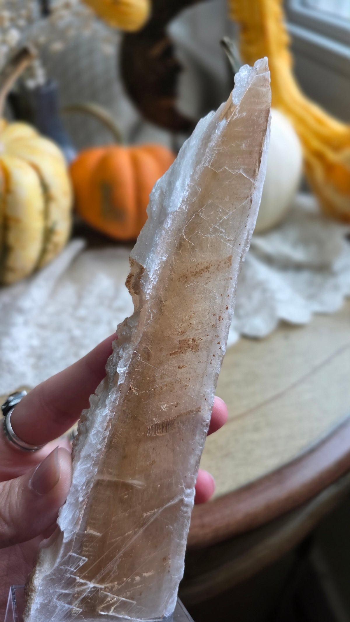 Bicolor Selenite on Stand