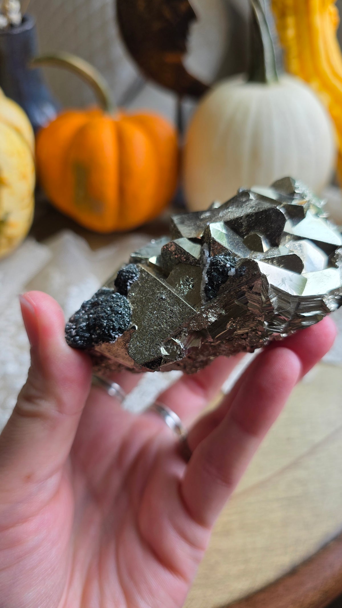 Pyrite Specimen 3