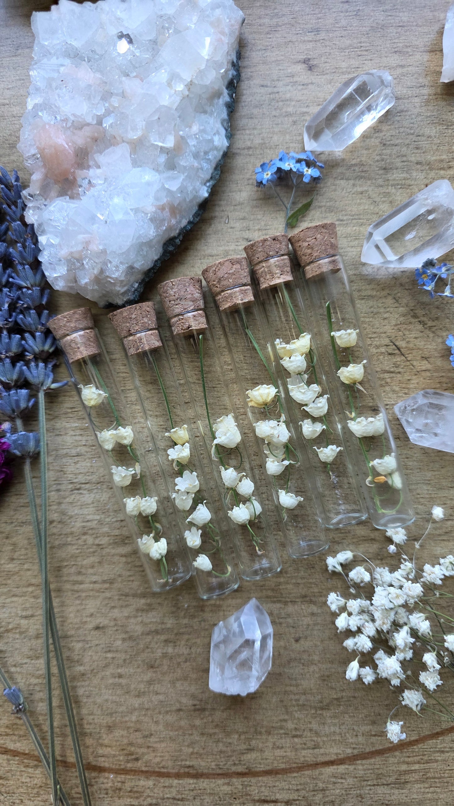 Dried Lily of the Valley Vial Specimen