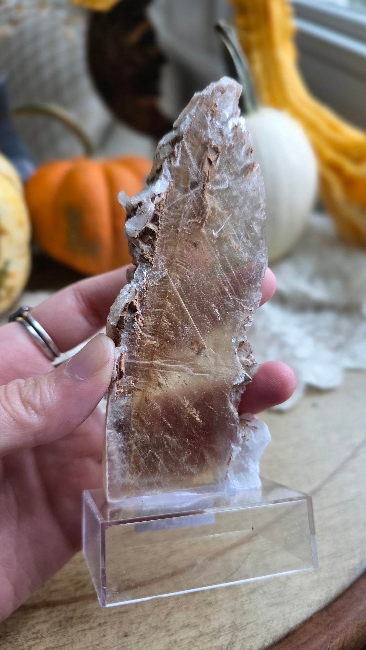 Bicolor Selenite on stand
