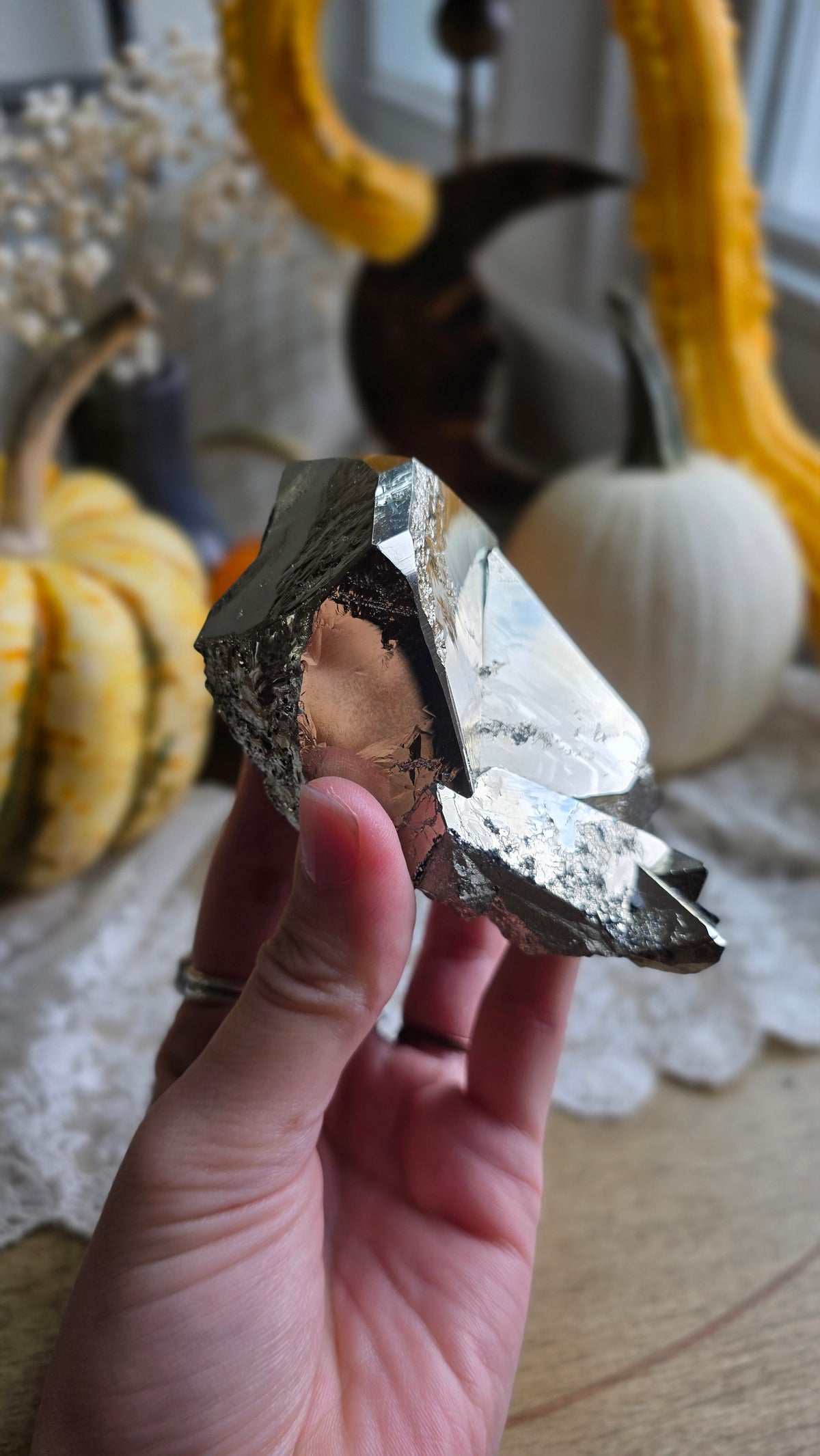 Pyrite Specimen 8