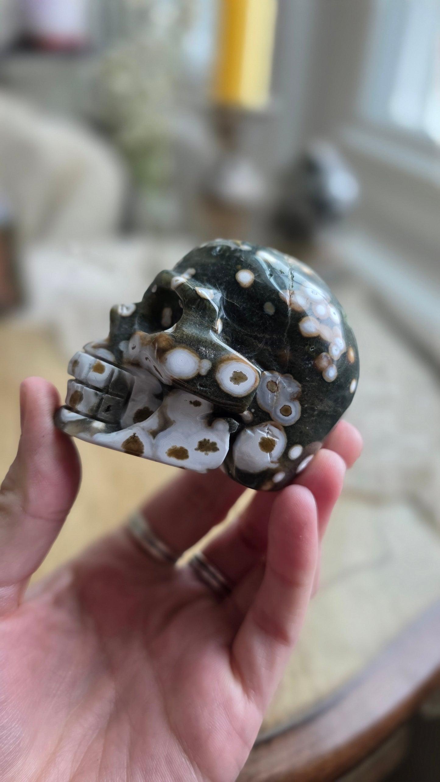 Ocean Jasper Skull 6