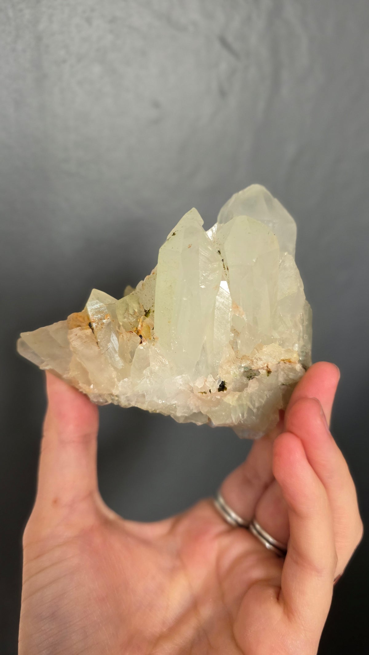 Epidote in Quartz