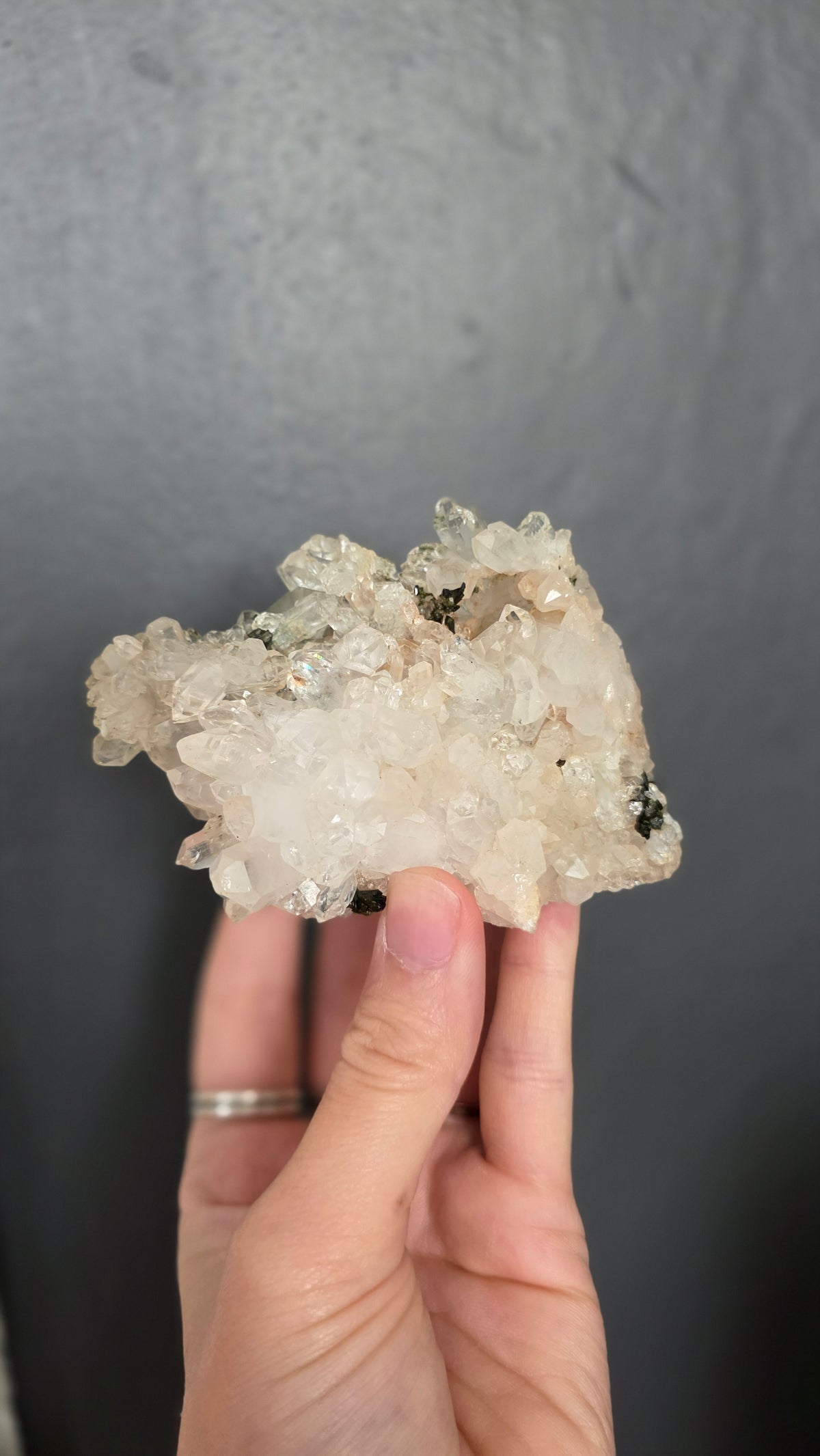 Epidote in Quartz
