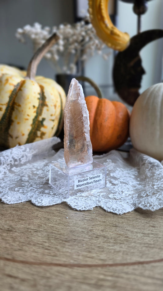 Bicolor Selenite on stand