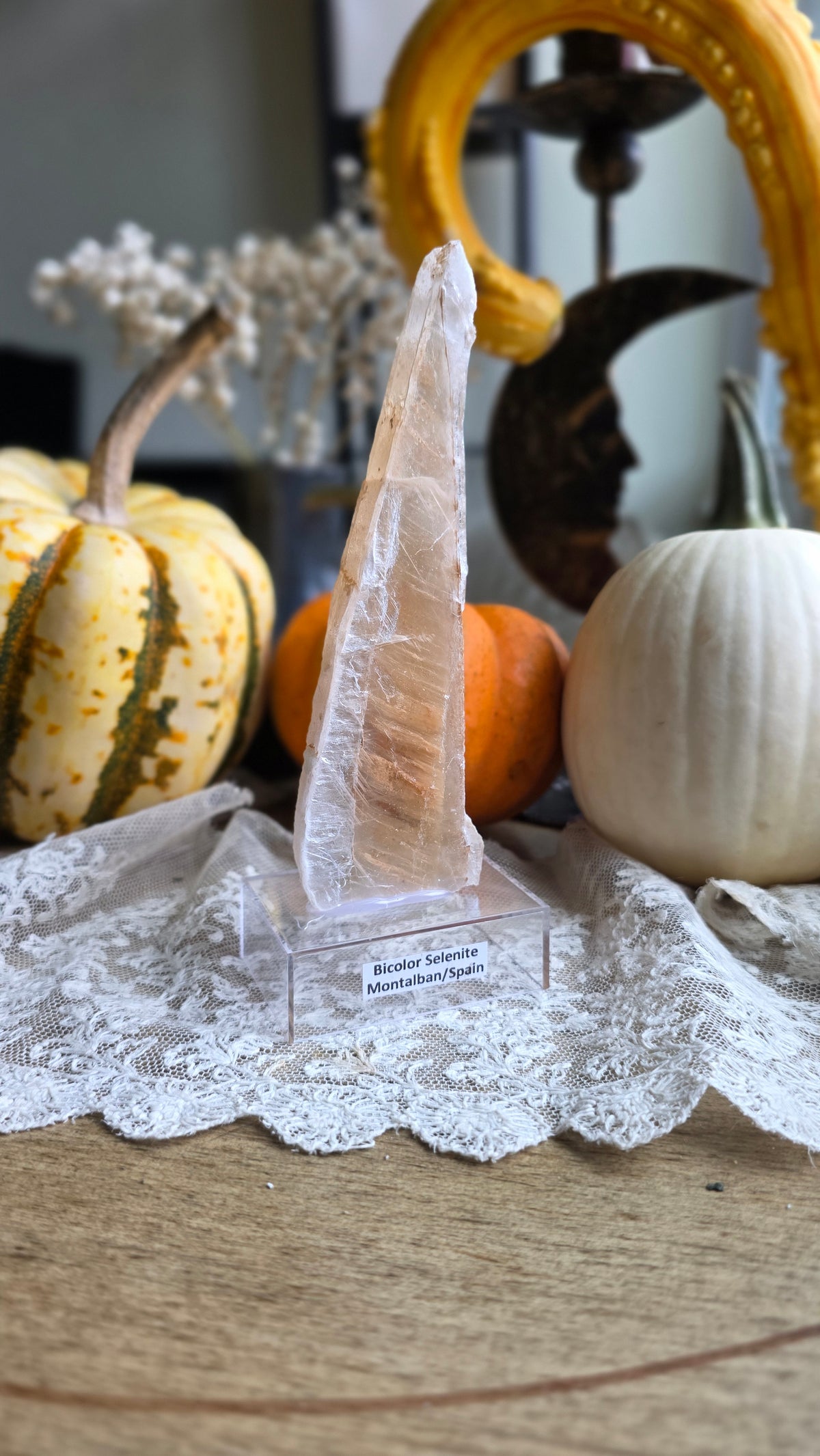 Bicolor Selenite on Stand