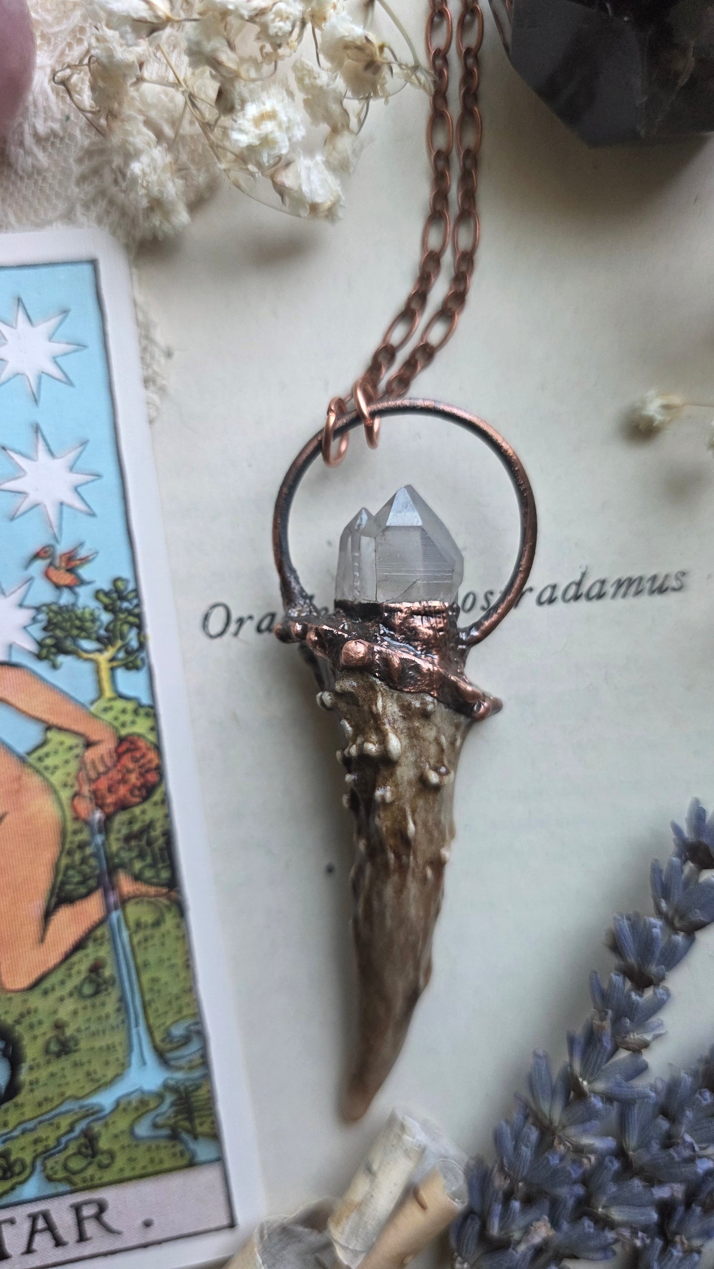Fable: Antler Shed with Quartz